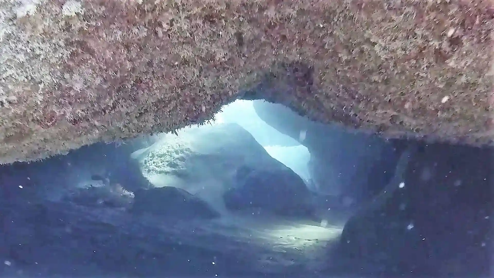 Foto des Tauchplatzes