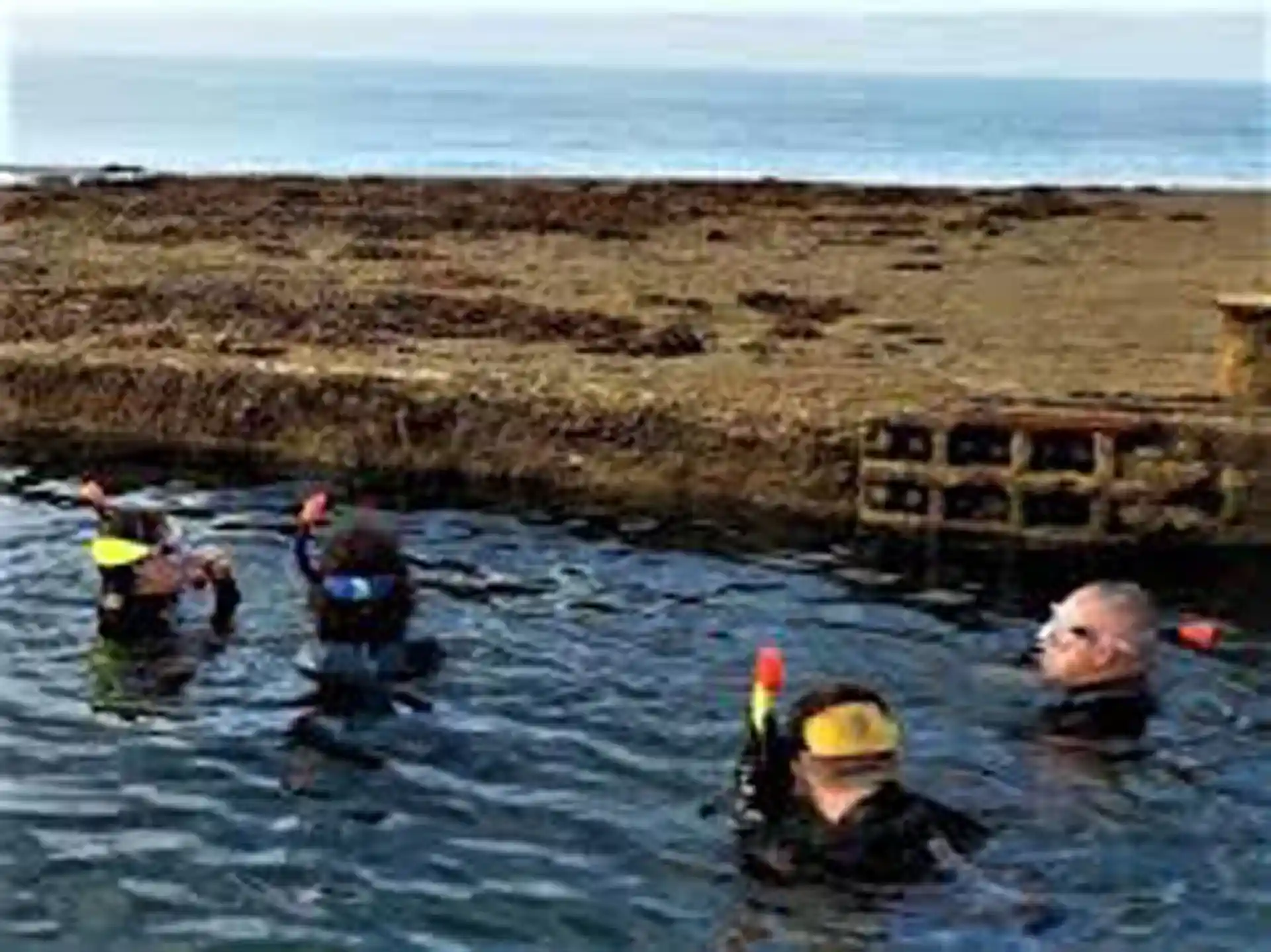 다이빙 포인트 사진