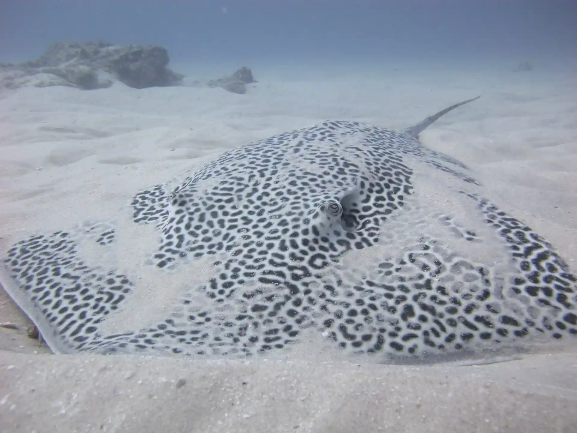 Dive site photo