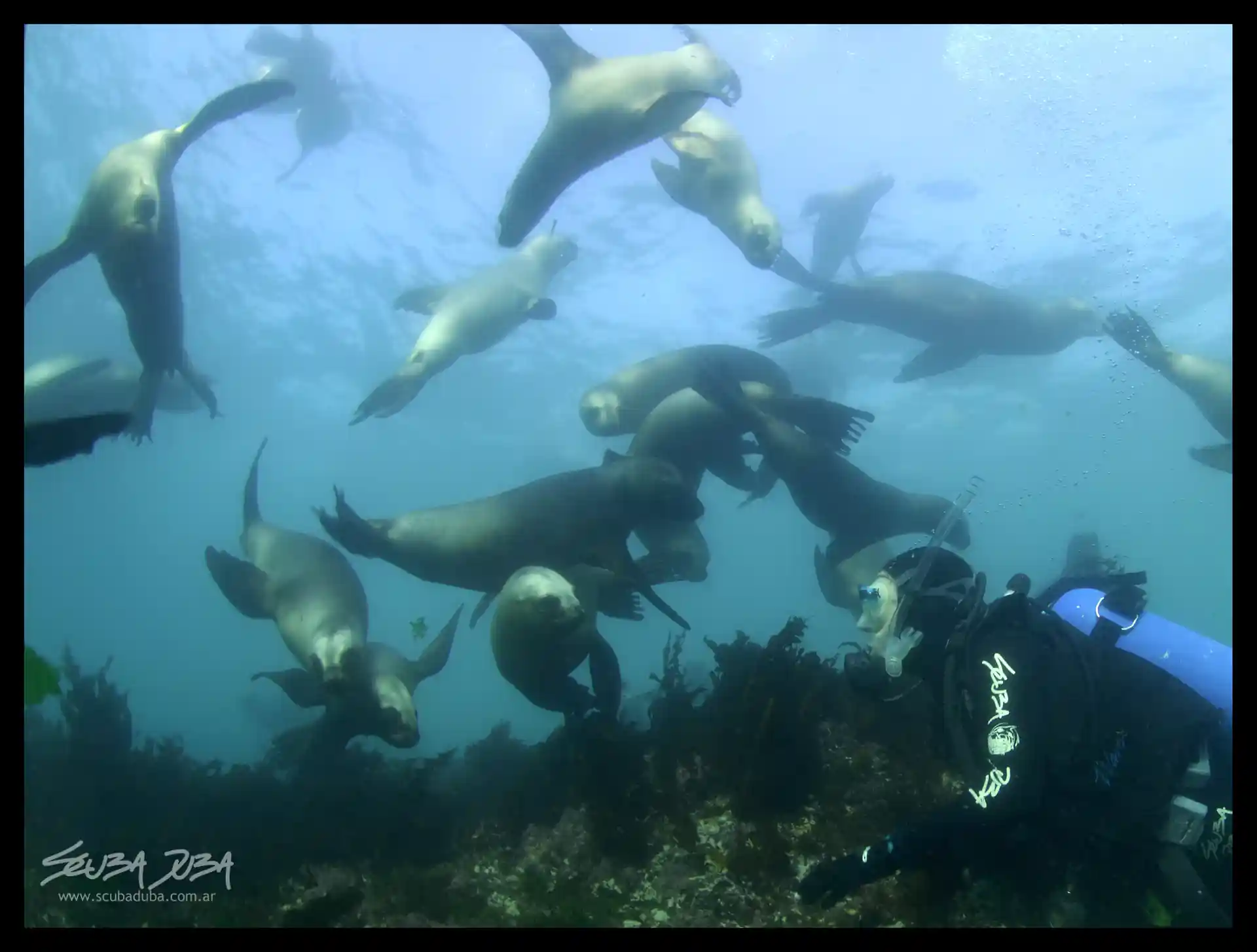Dive shop photo