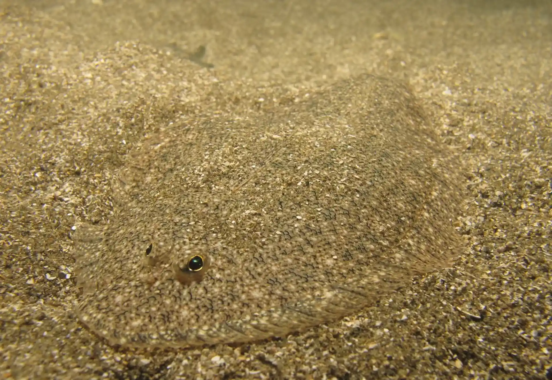 다이빙 포인트 사진