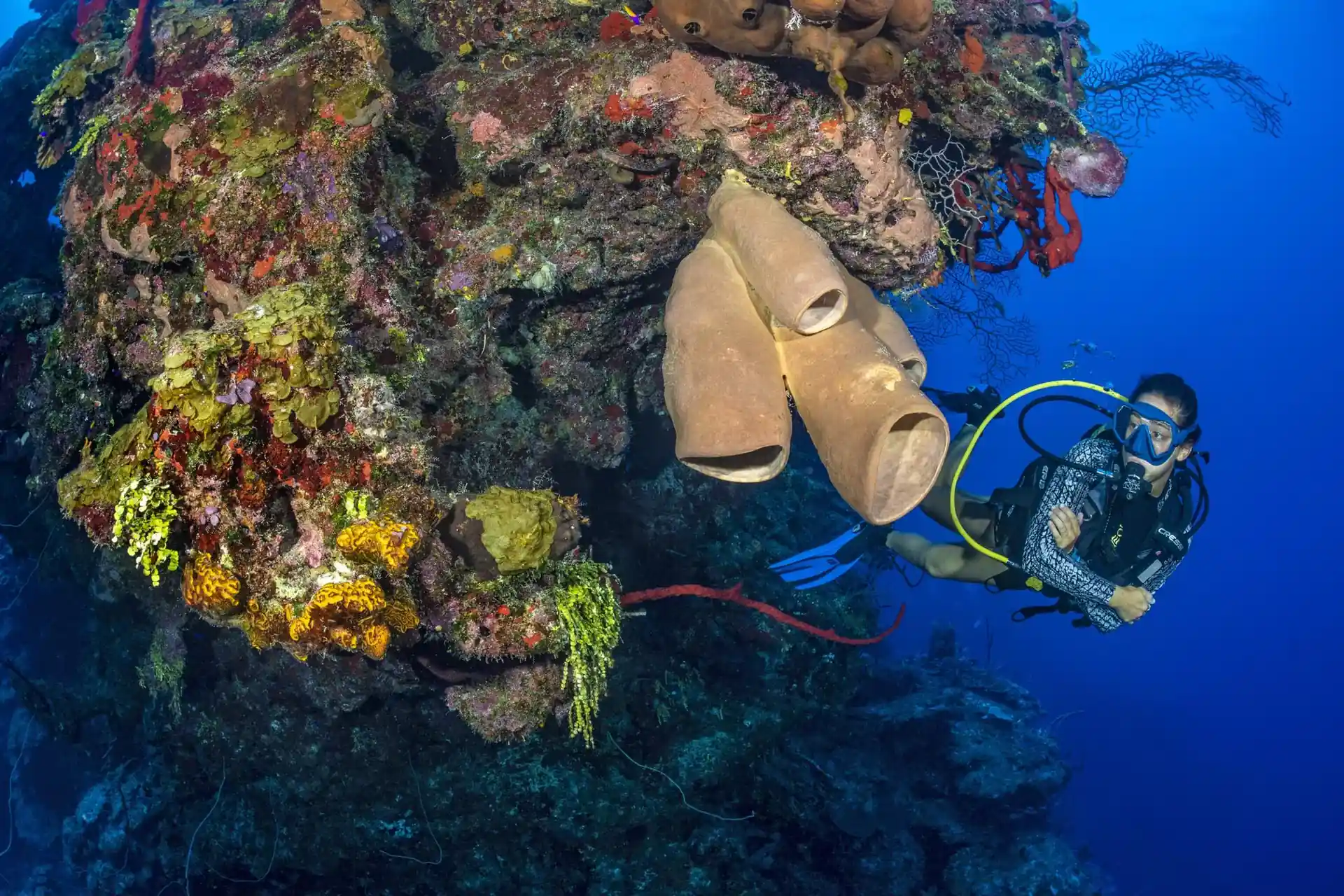 Dive site photo