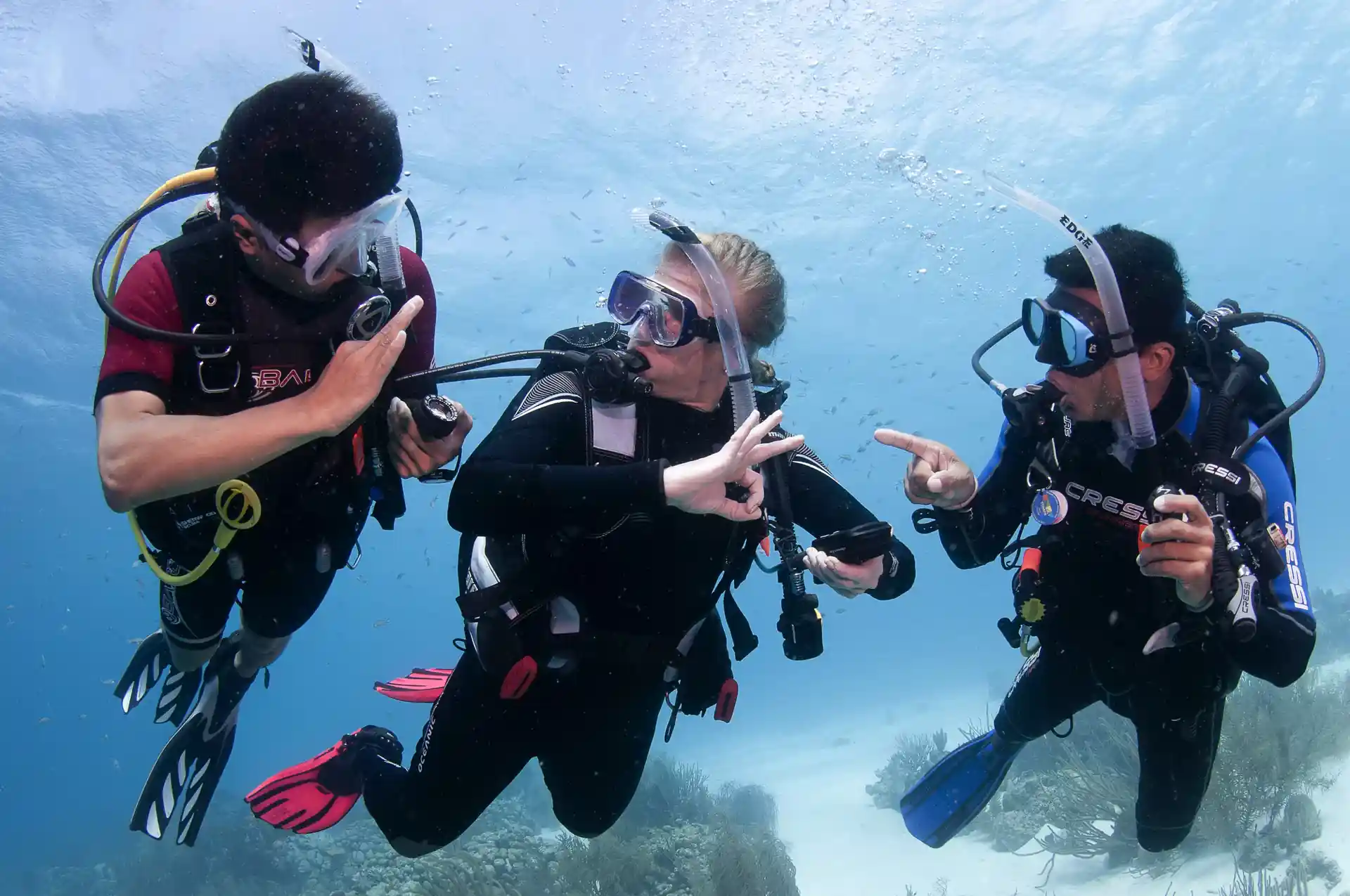Patient, extremely experienced Professional PADI Instructors to ensure you are safe & have fun!