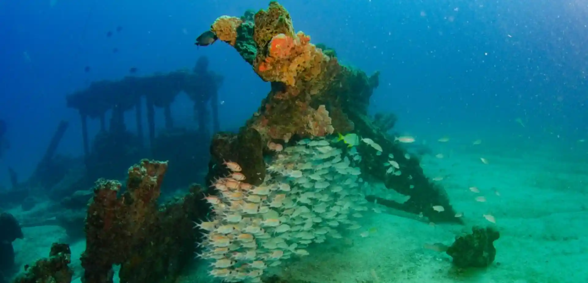 Foto van de duiklocatie