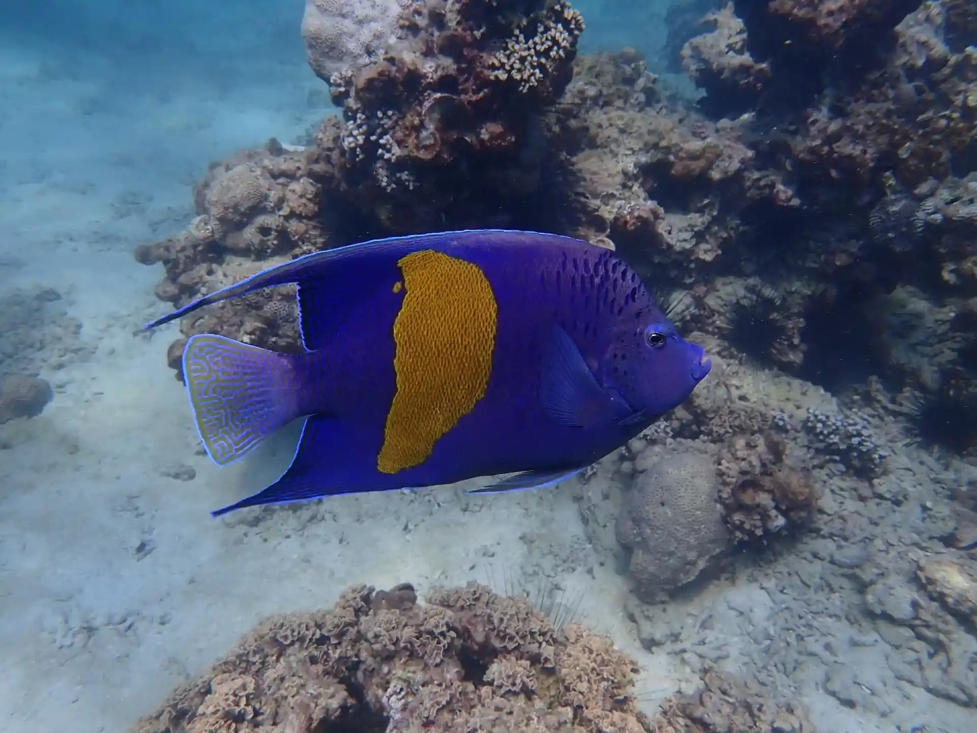 다이빙 포인트 사진