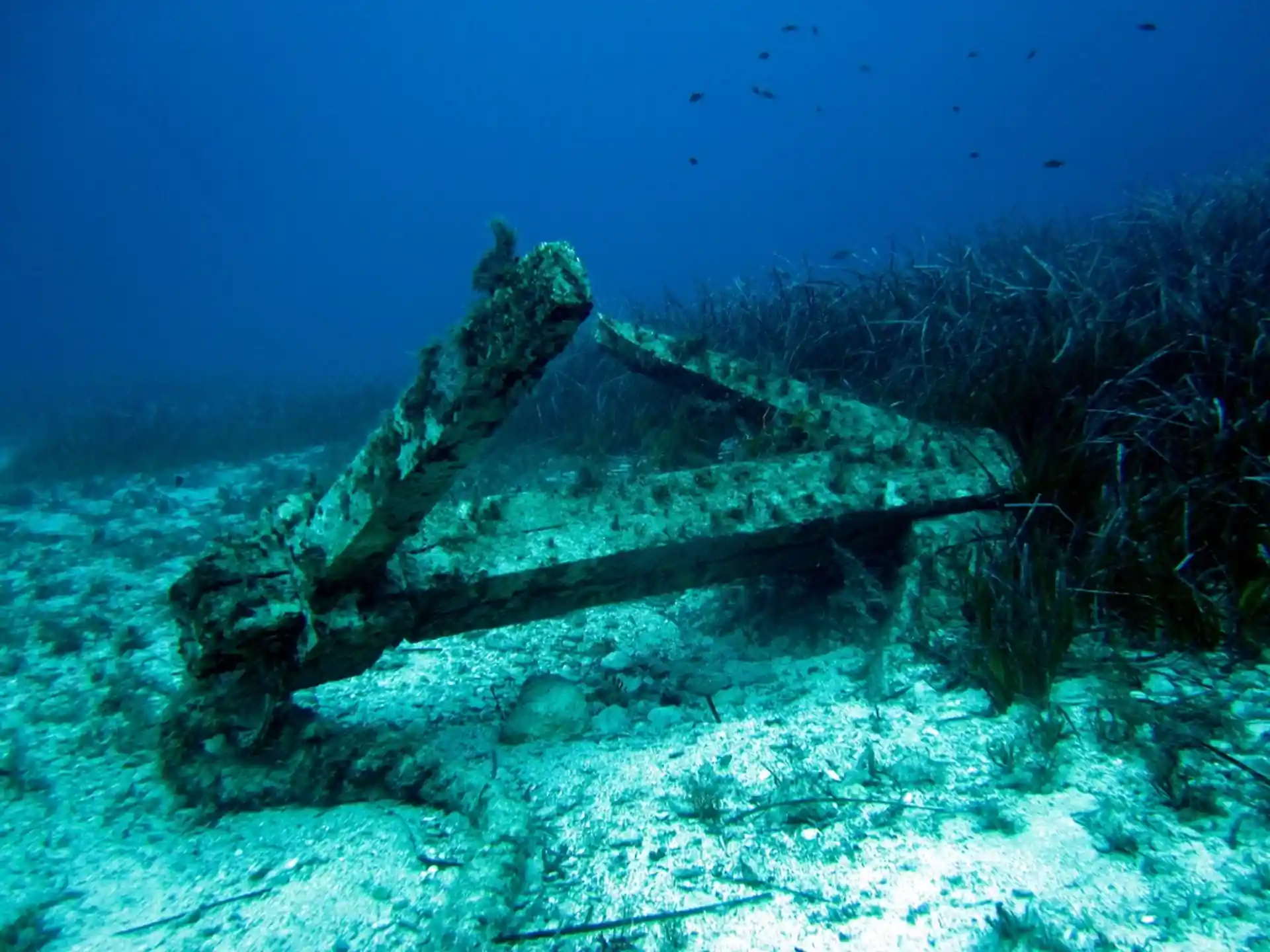 Dive site photo