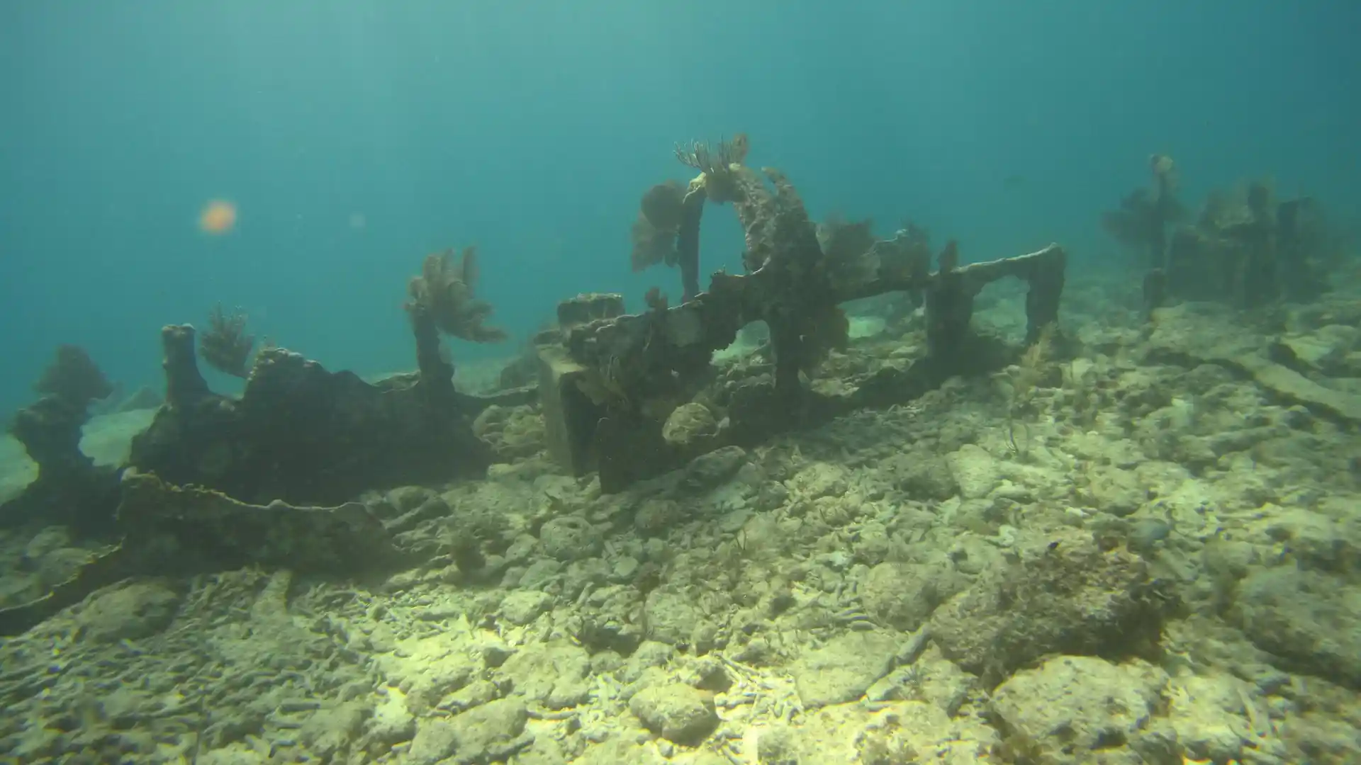 Foto van de duiklocatie