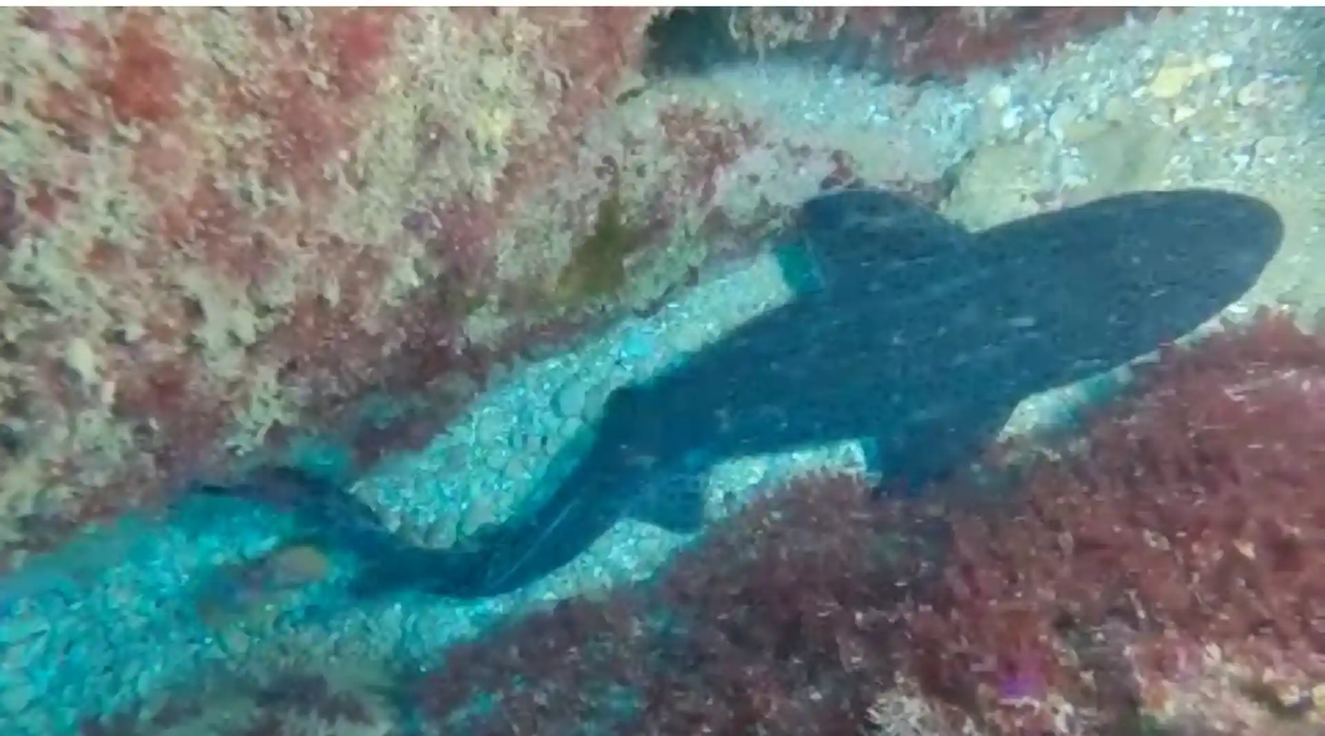 Dive site photo