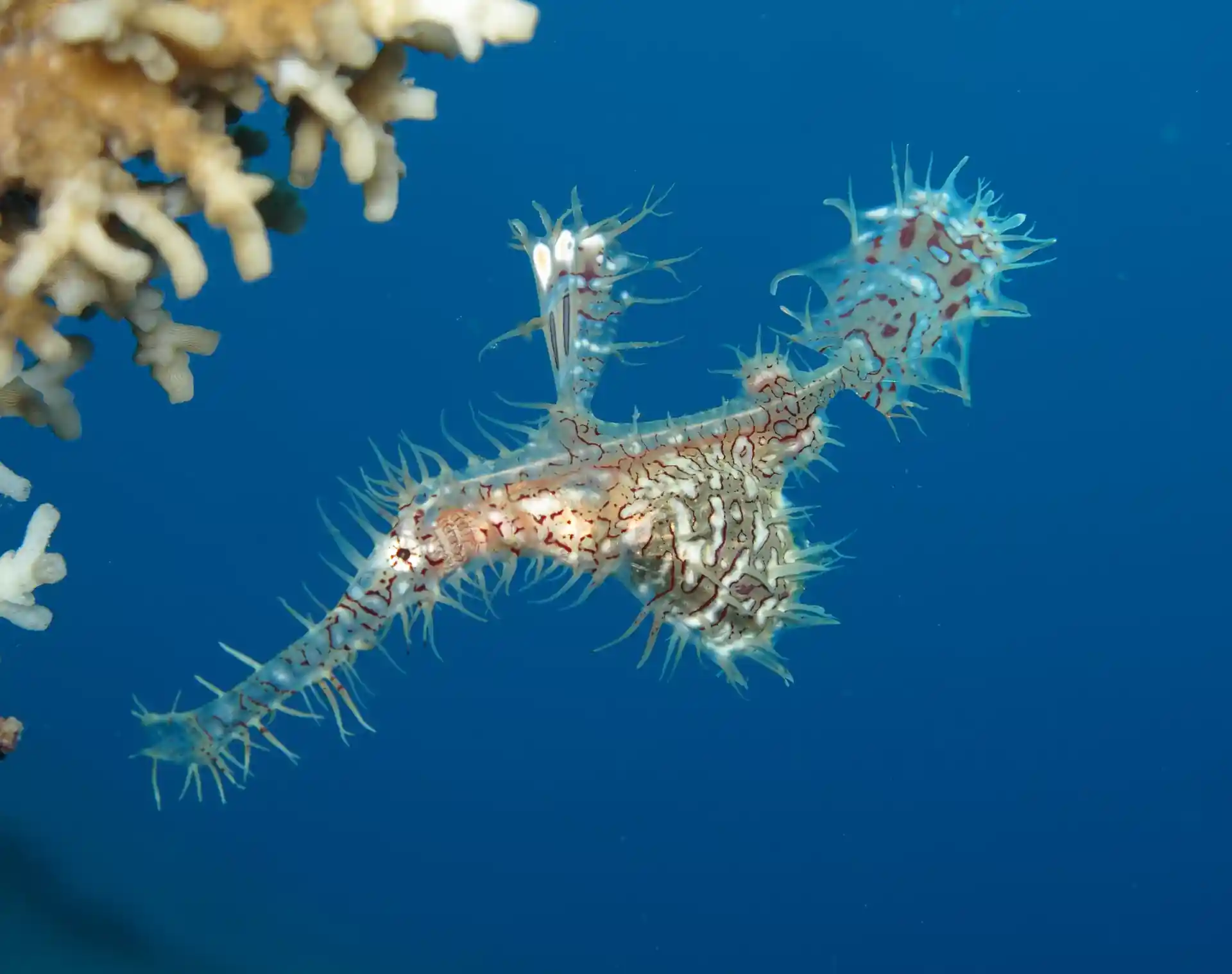 Photo de l'activité