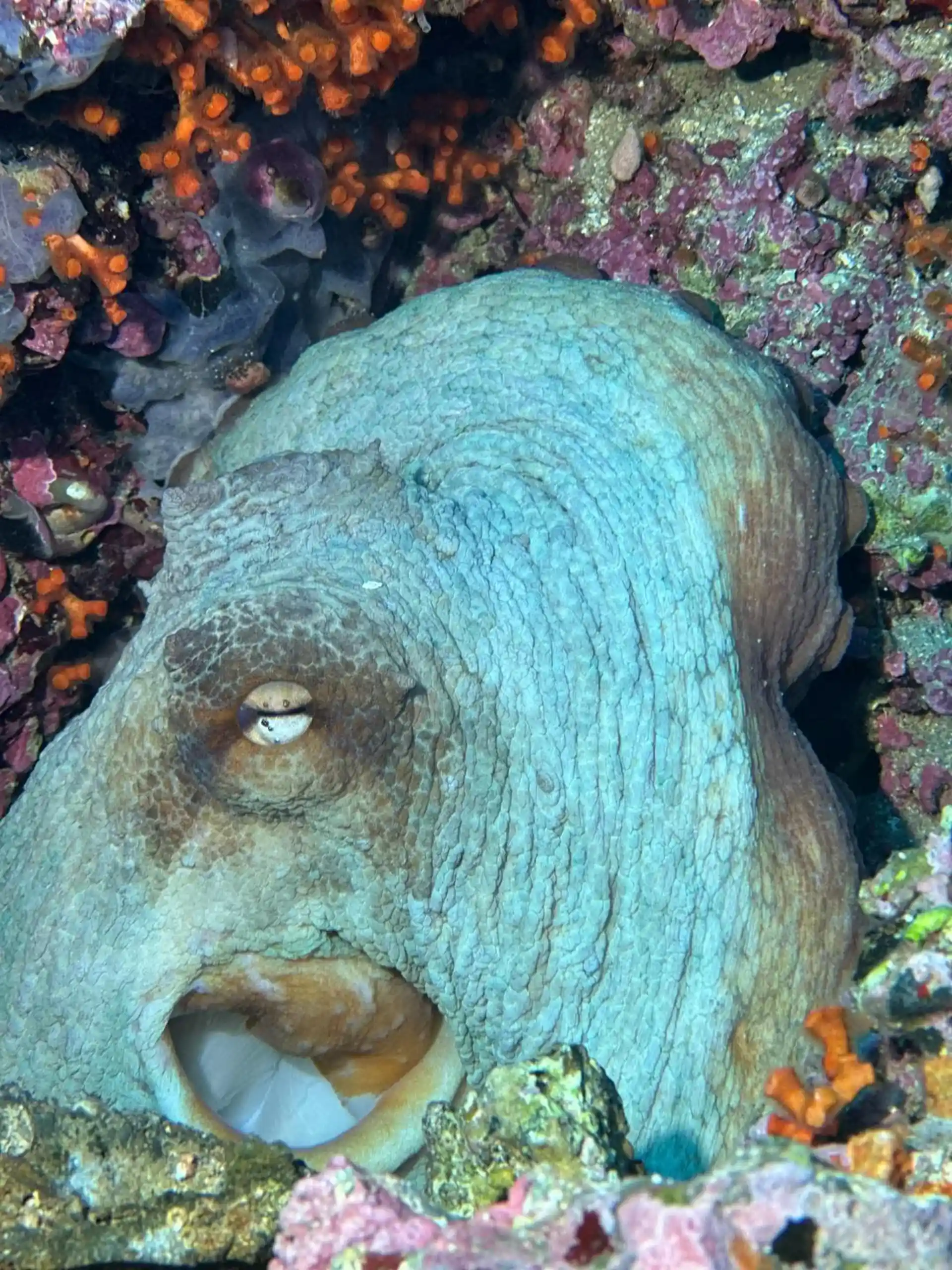 Dive site photo