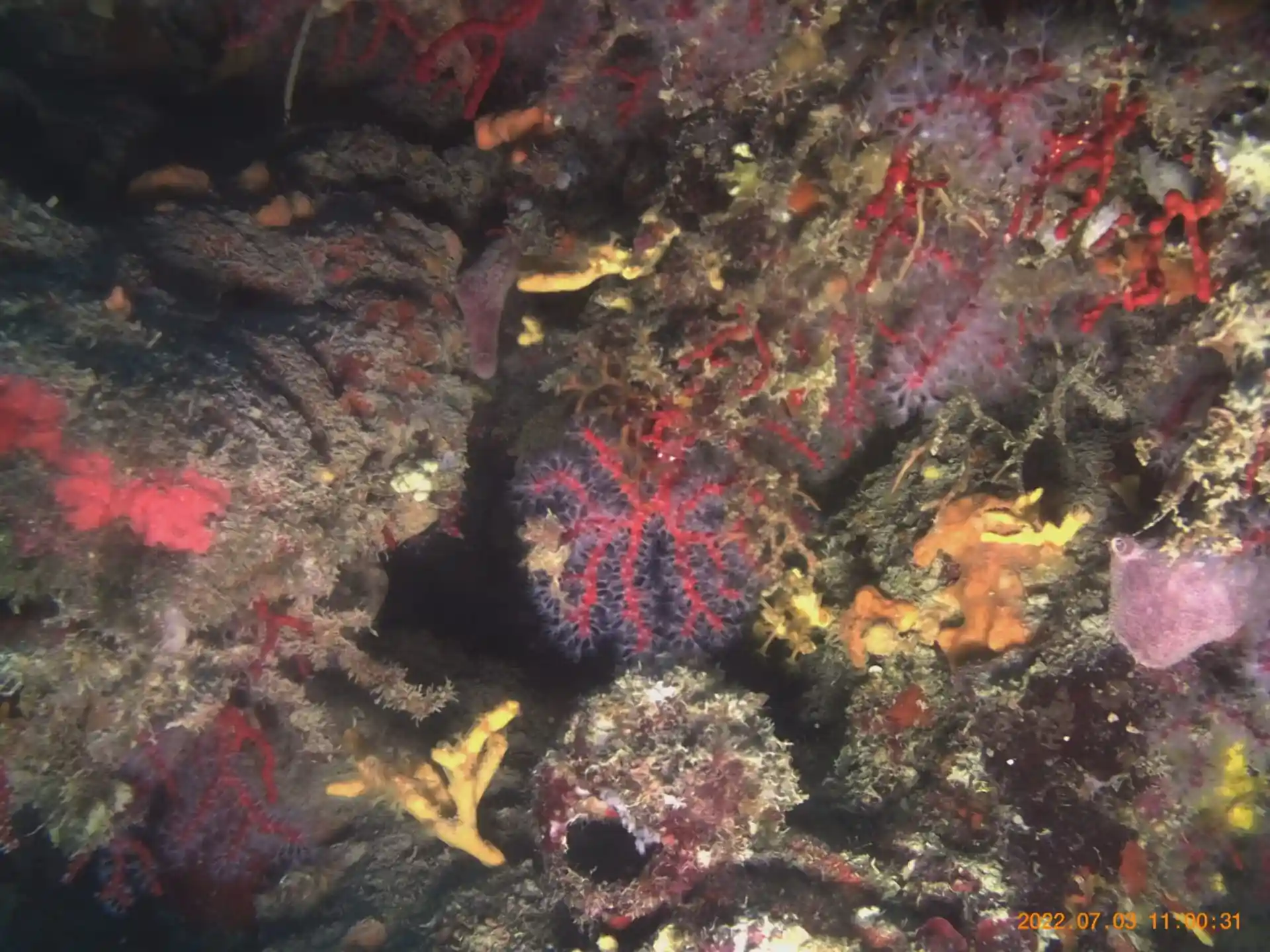Dive site photo