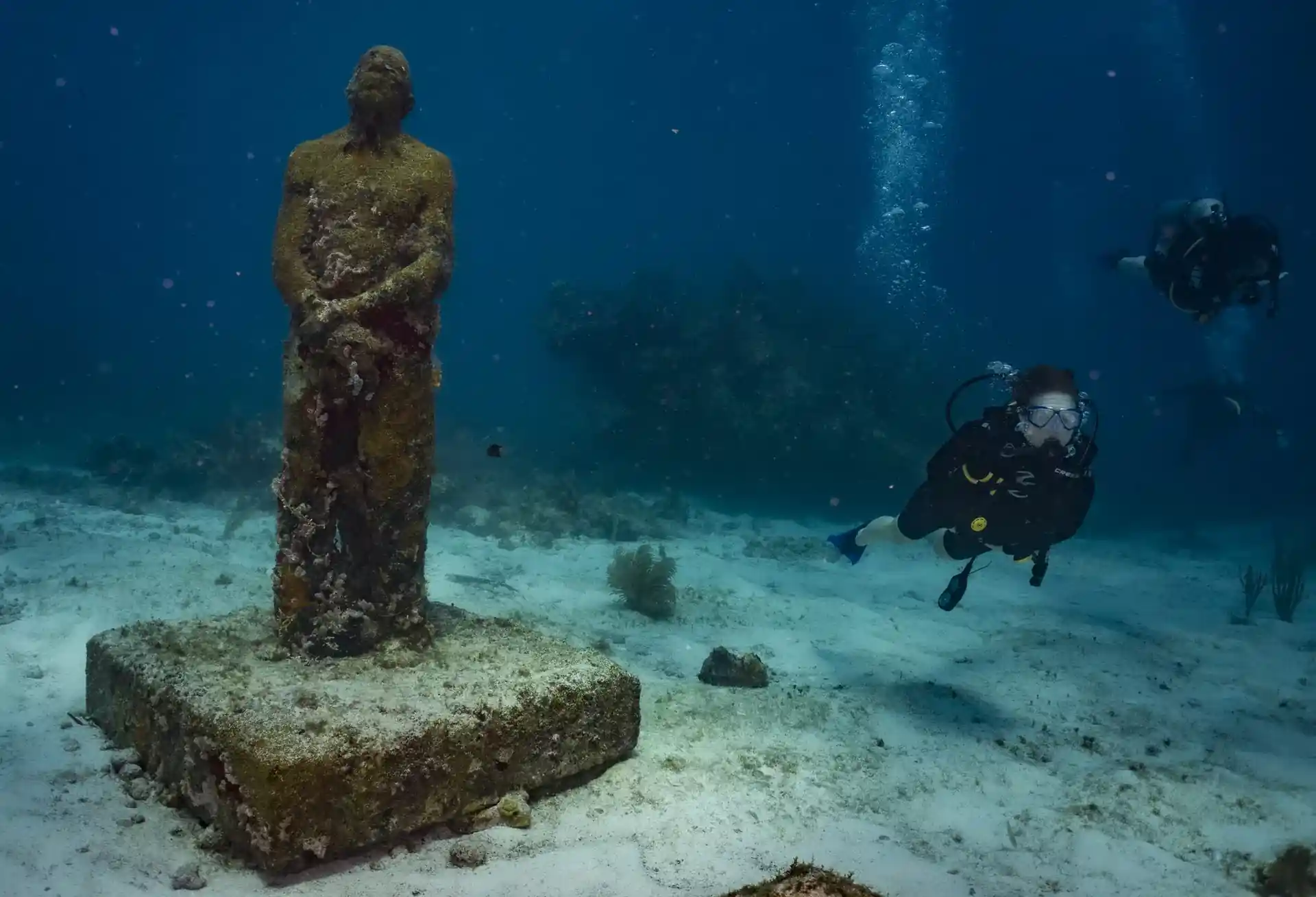 ダイビングサイトの写真