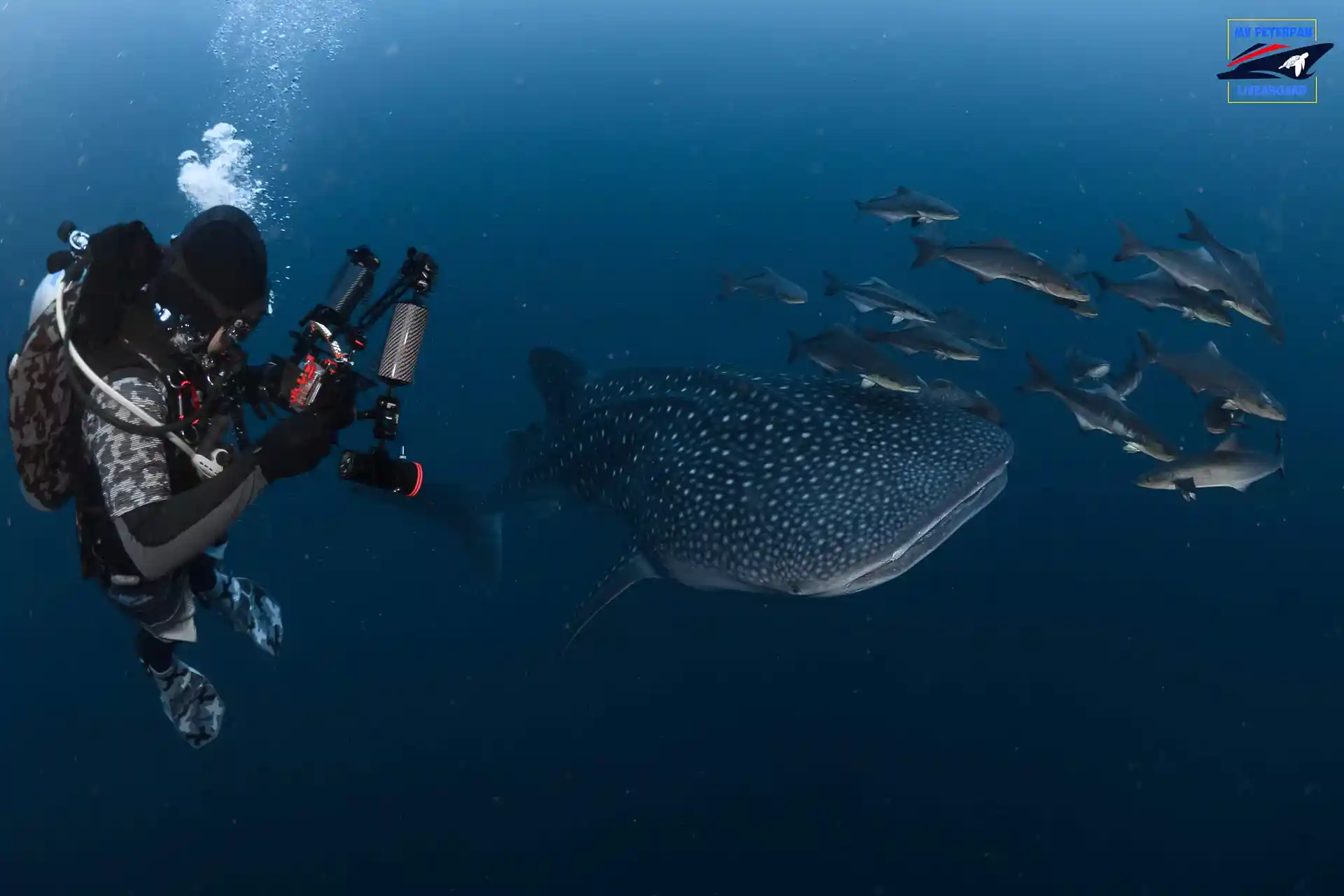 Dive shop photo