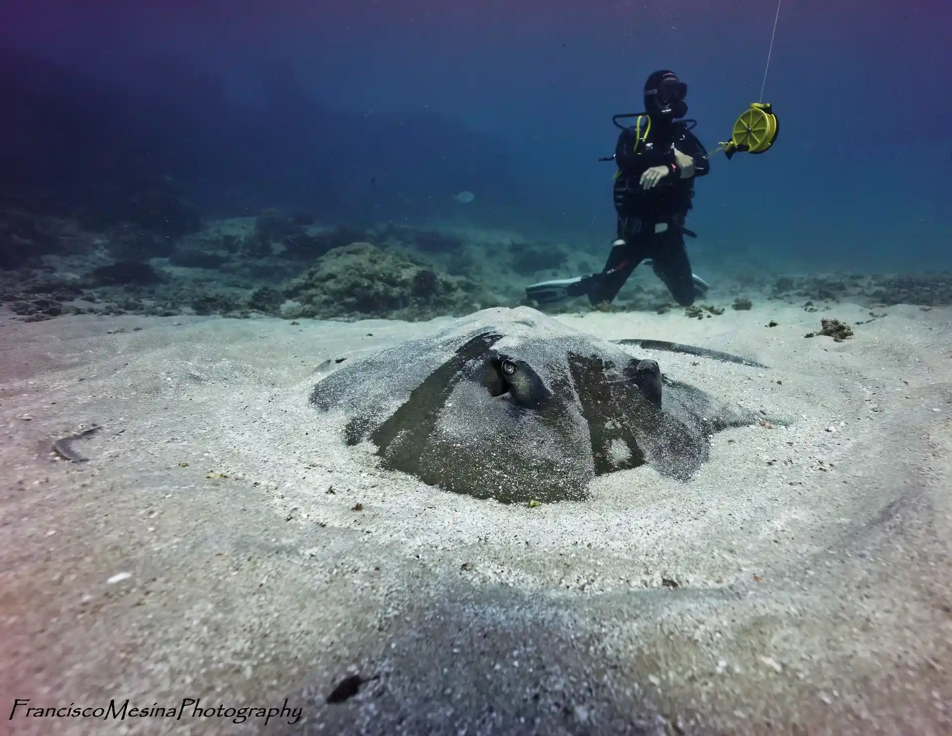Dive site photo