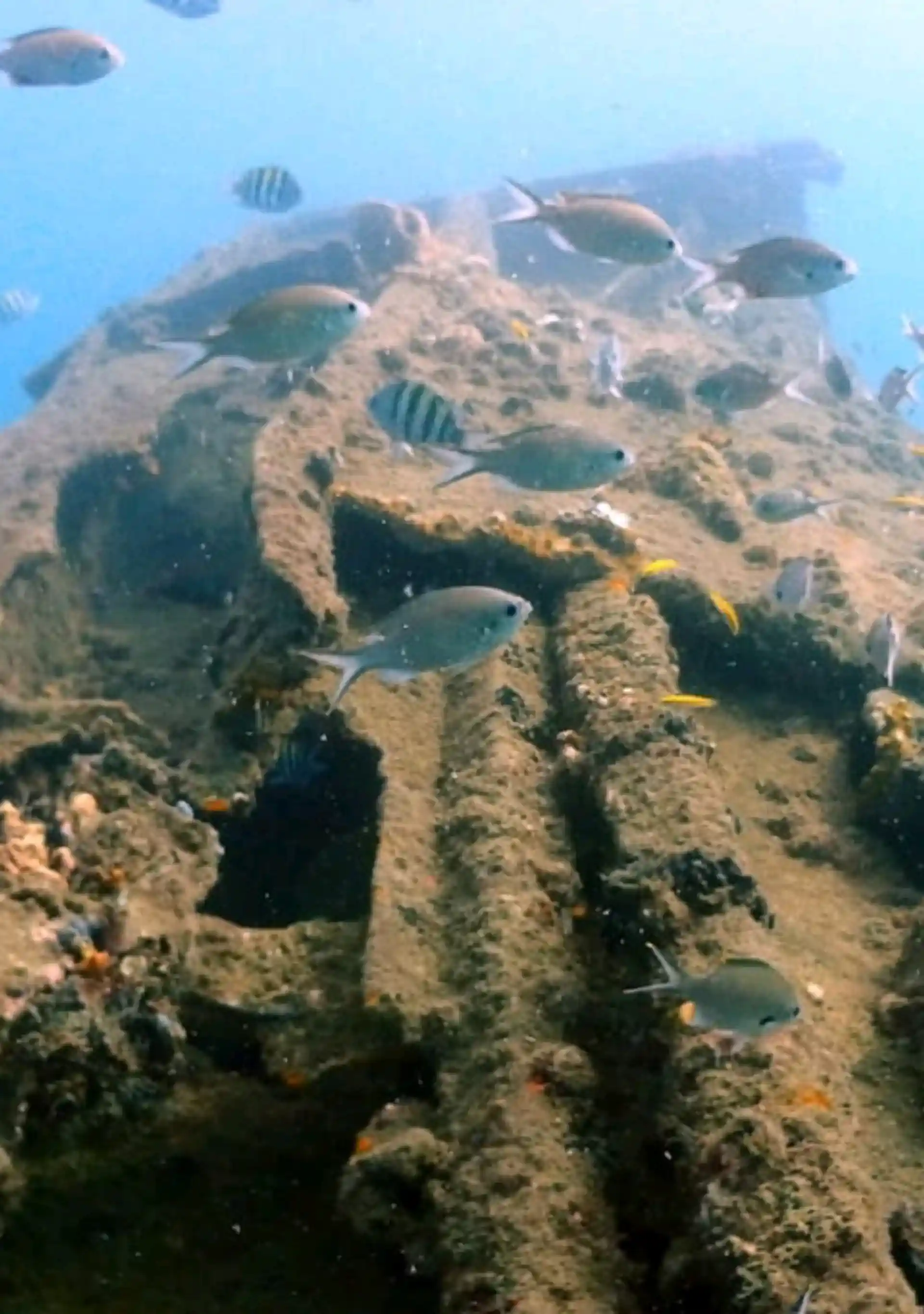 Foto de la actividad