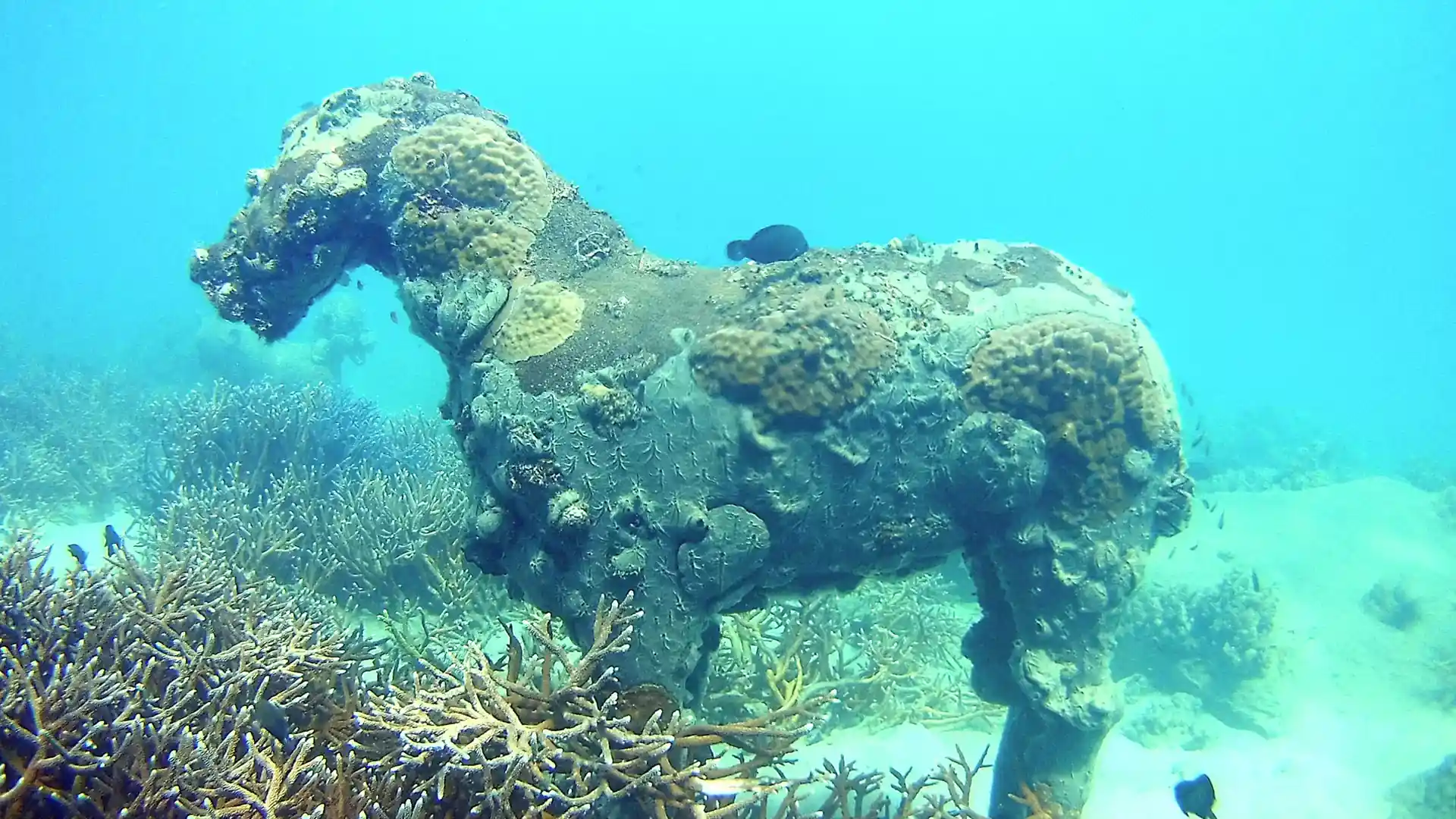 Photo du site de plongée