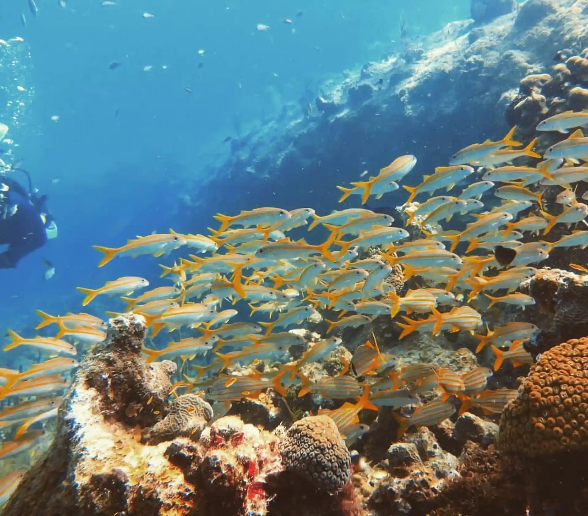 Foto de la actividad