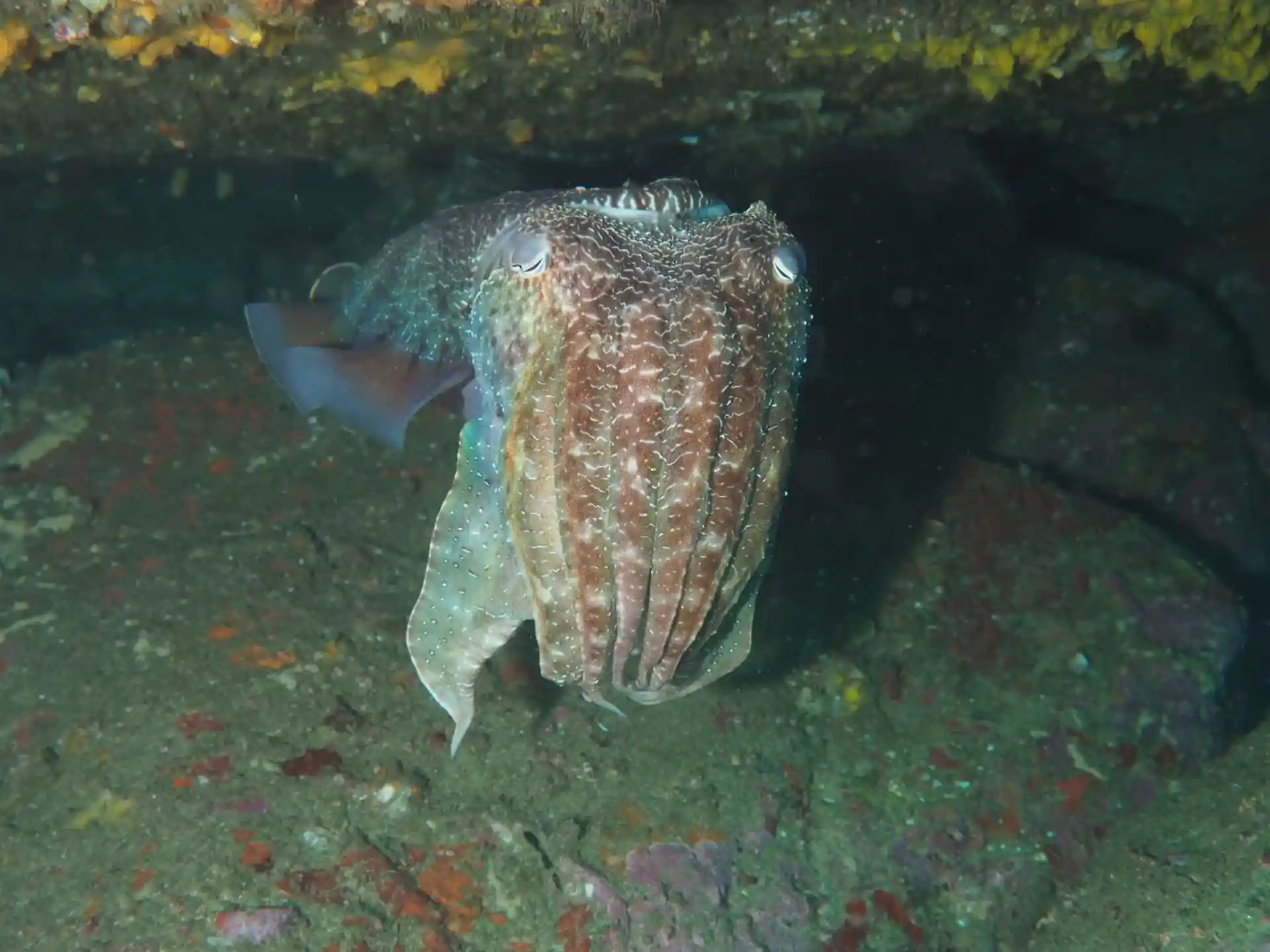 Dive site photo
