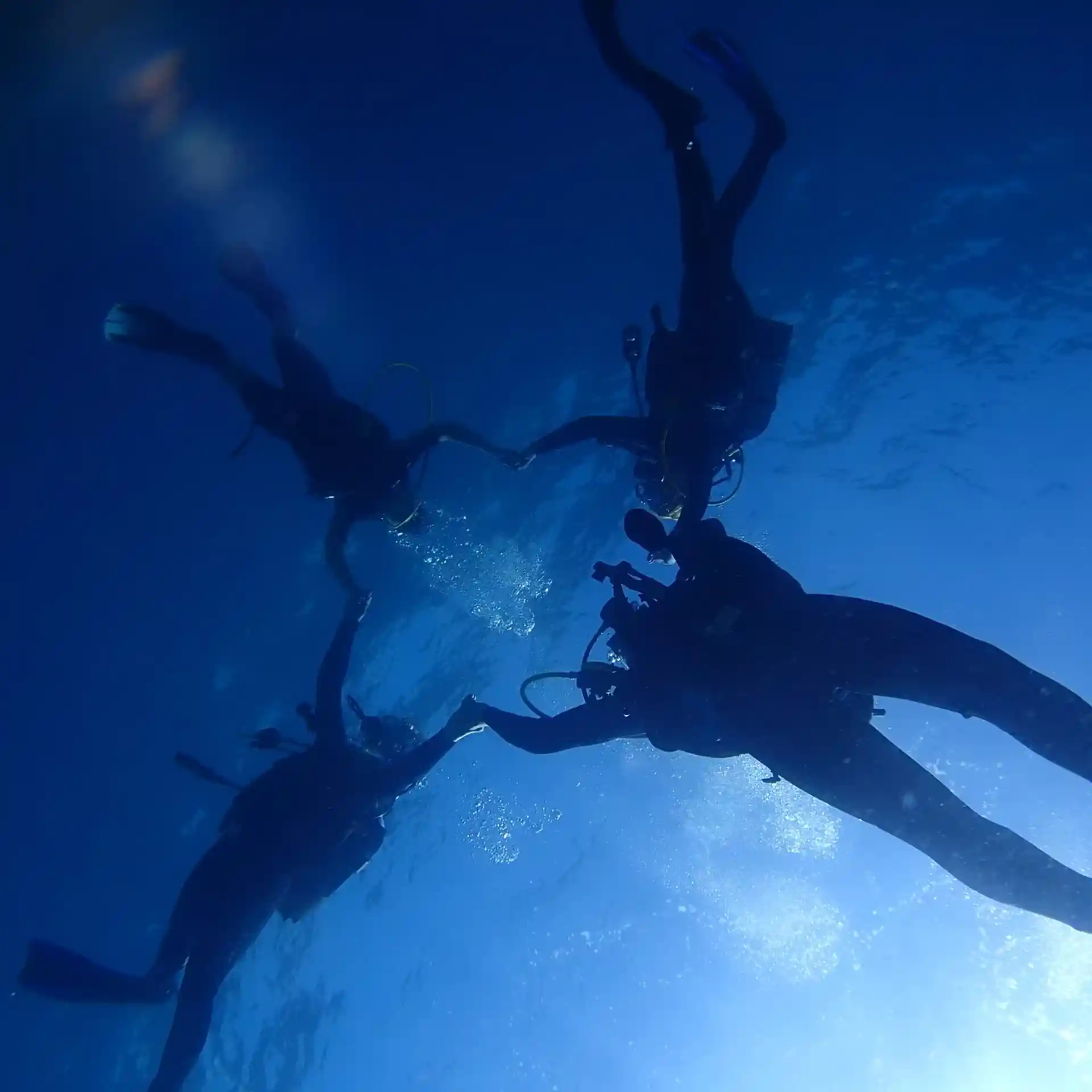 Photo du site de plongée