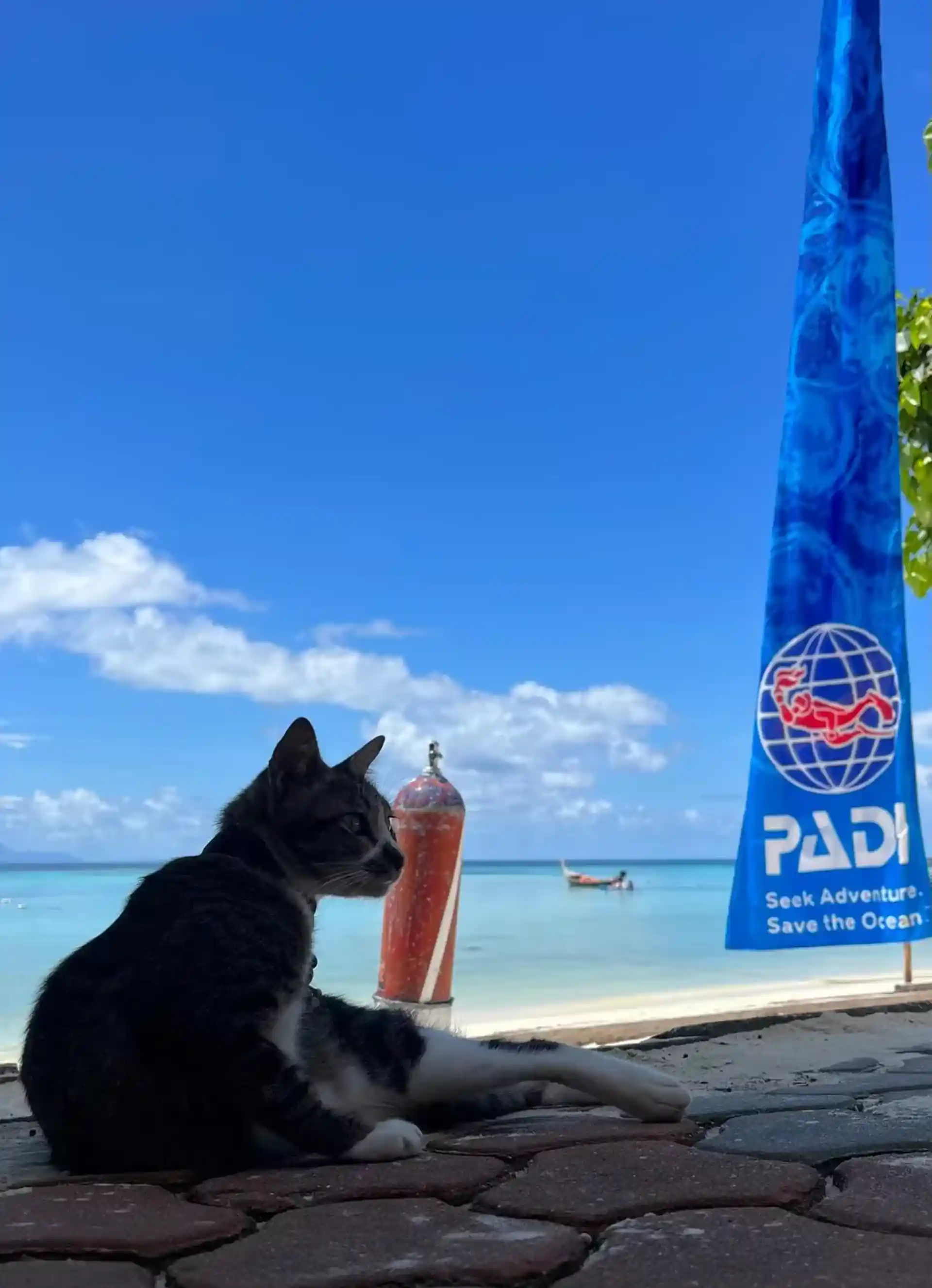 Dive shop photo