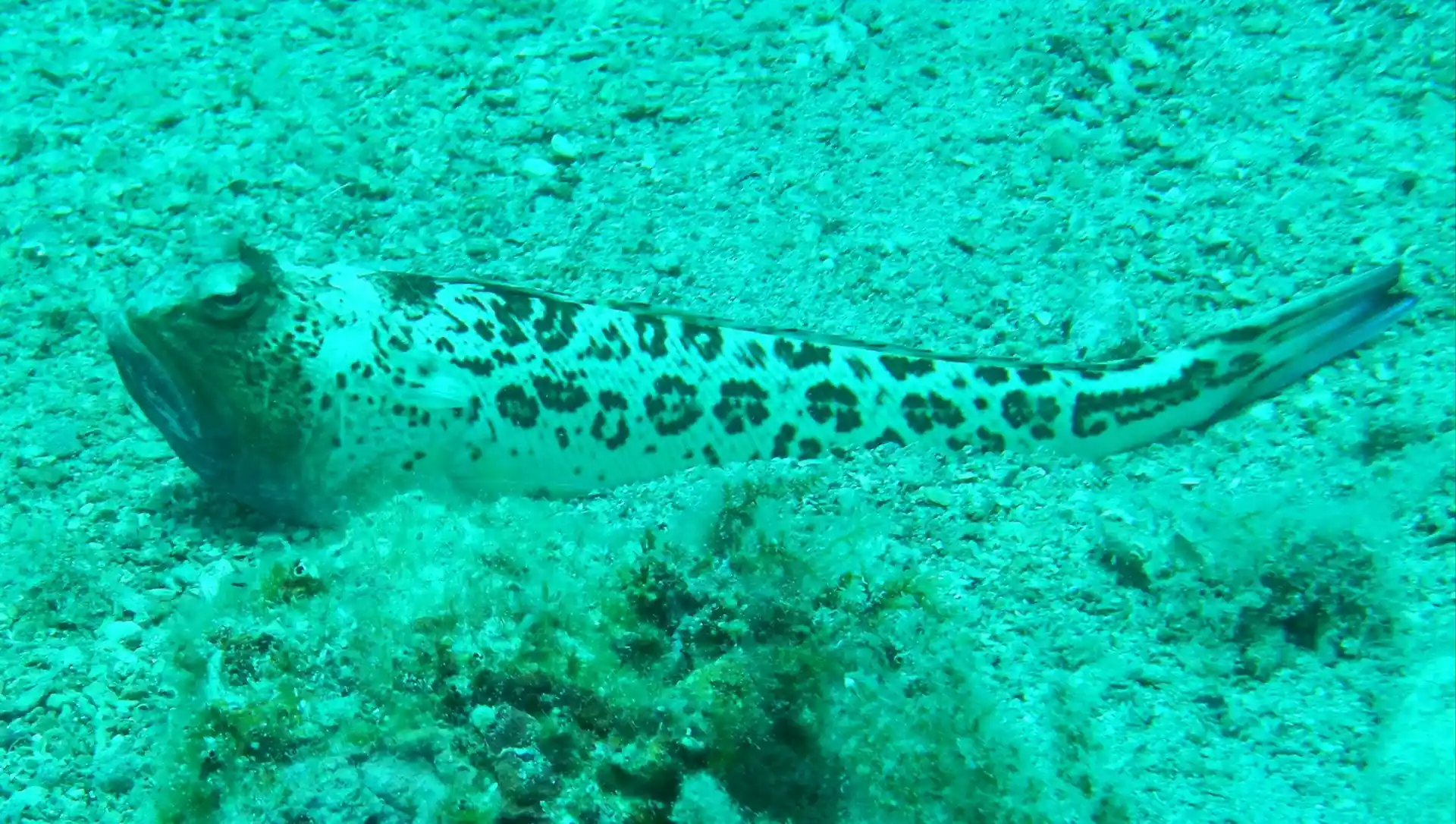 Dive site photo