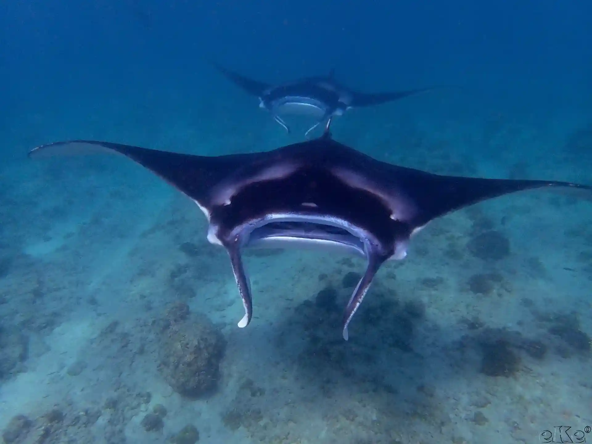 Dive shop photo