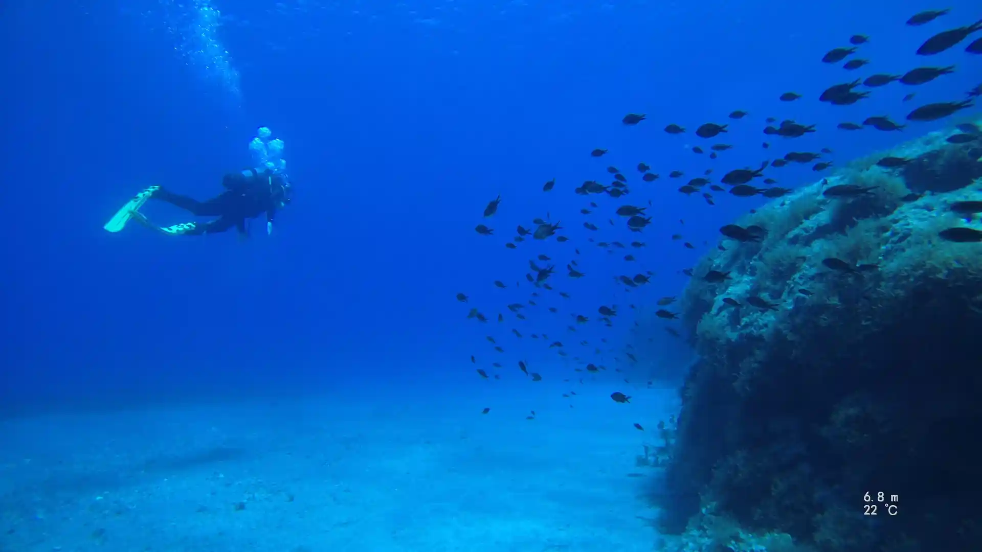 Dive shop photo