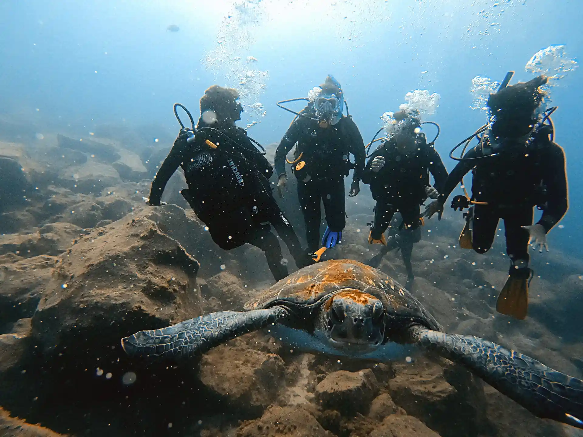 Photo de l'activité