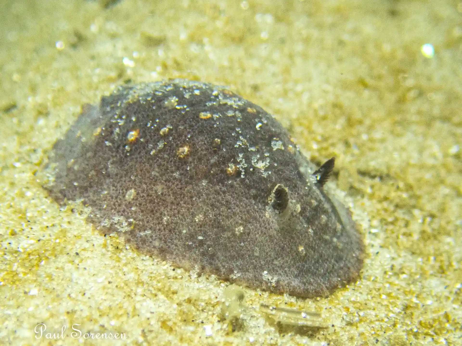 Dive site photo