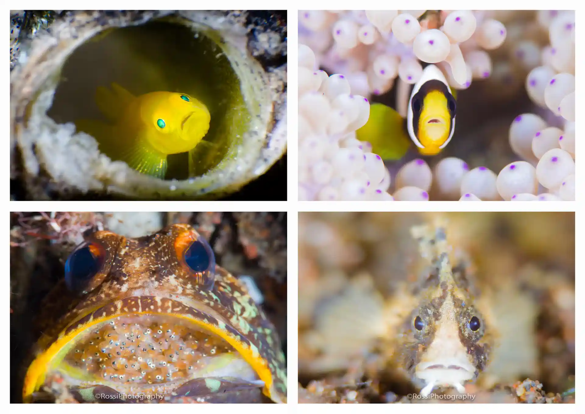Dive shop photo