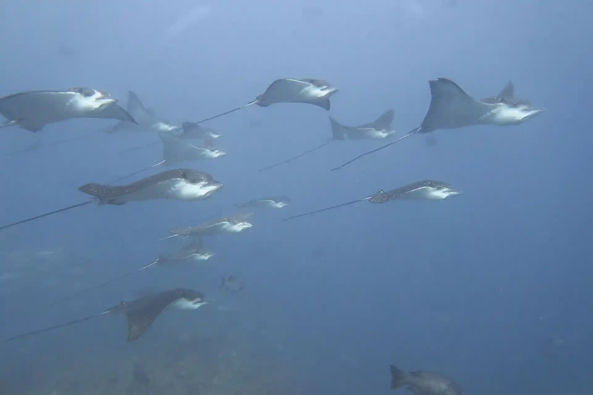 Dive site photo