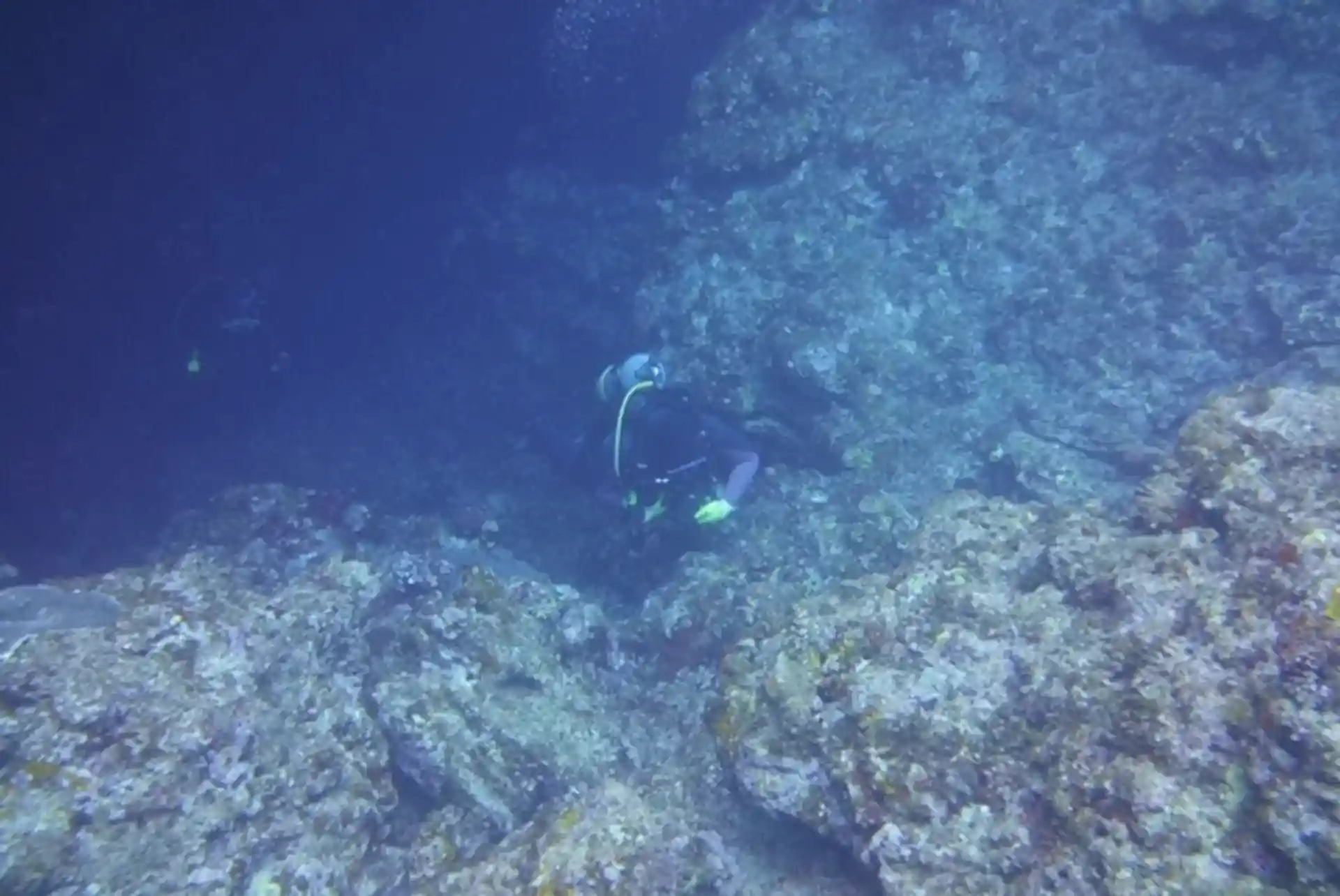 다이빙 포인트 사진