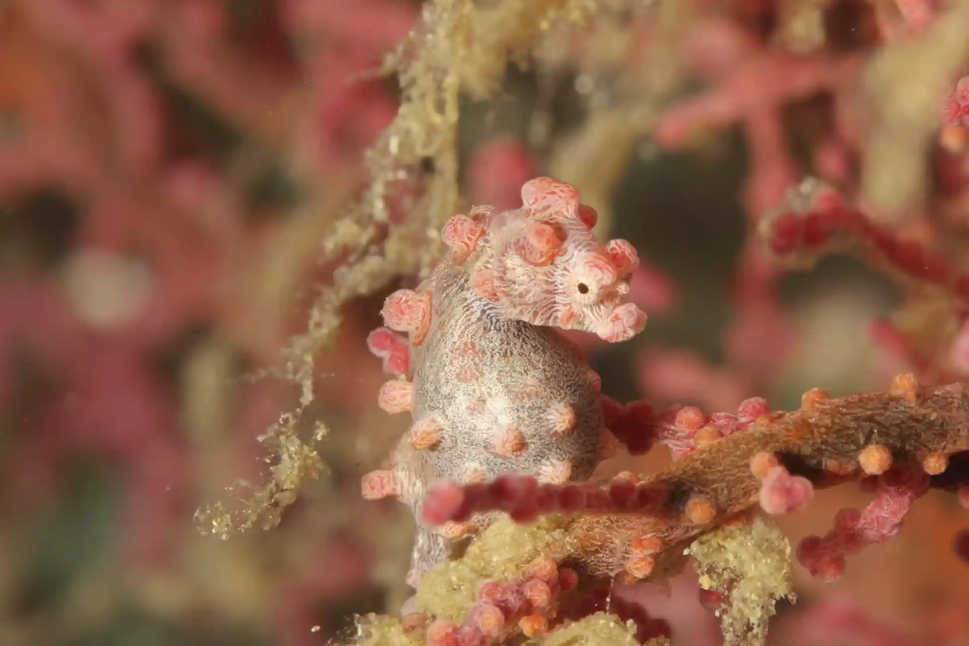 Foto des Tauchplatzes