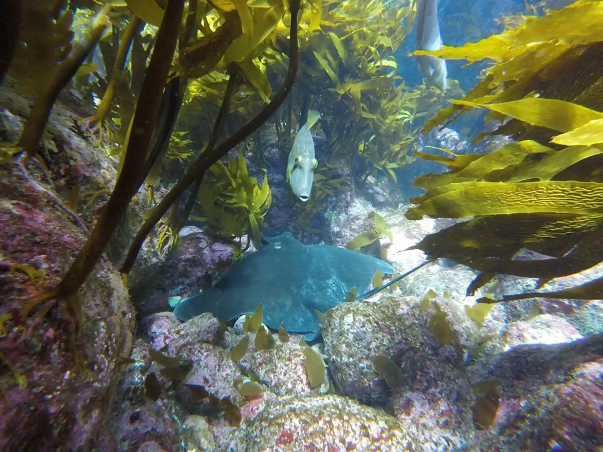 Dive site photo