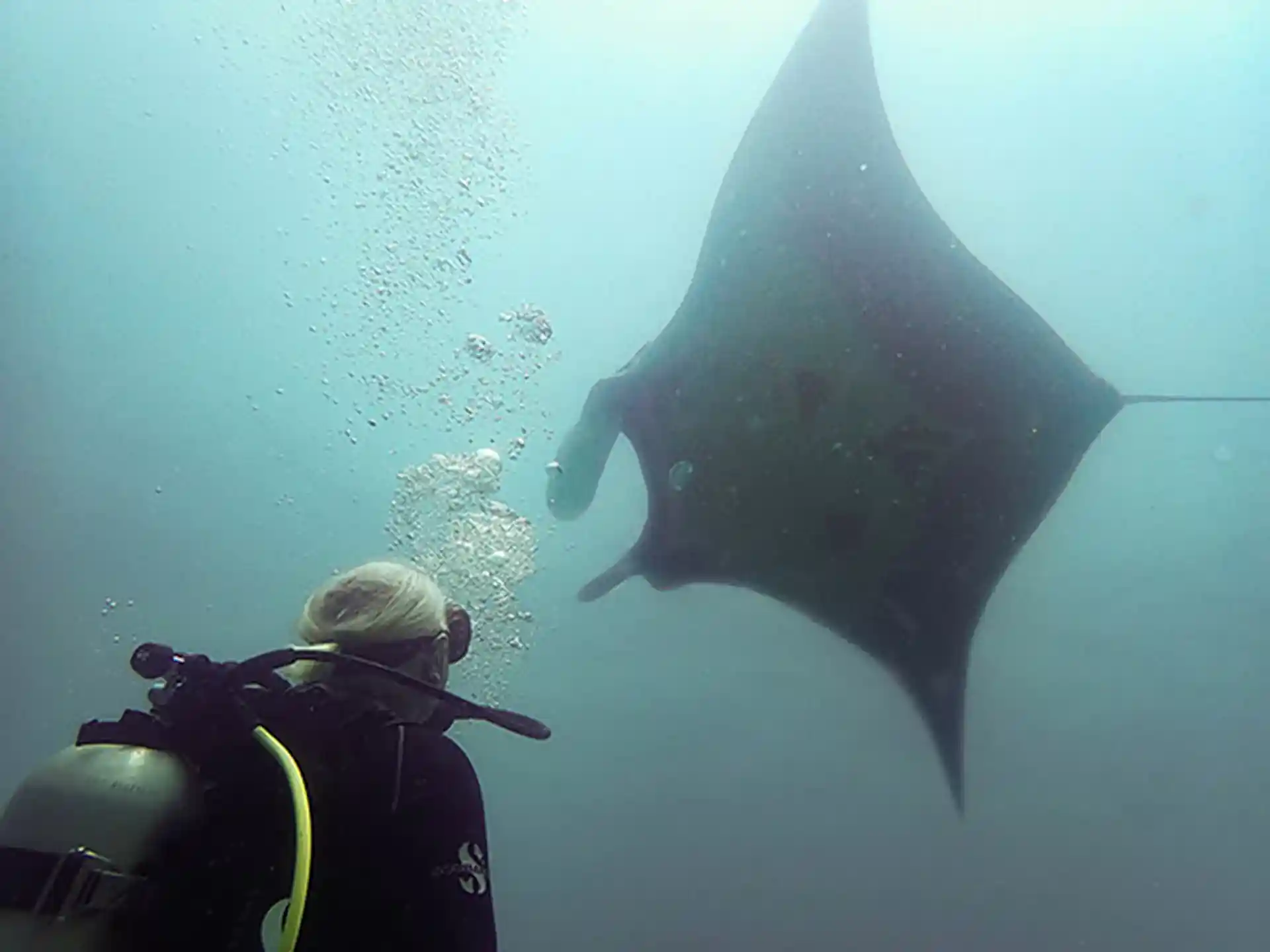 Photo du site de plongée
