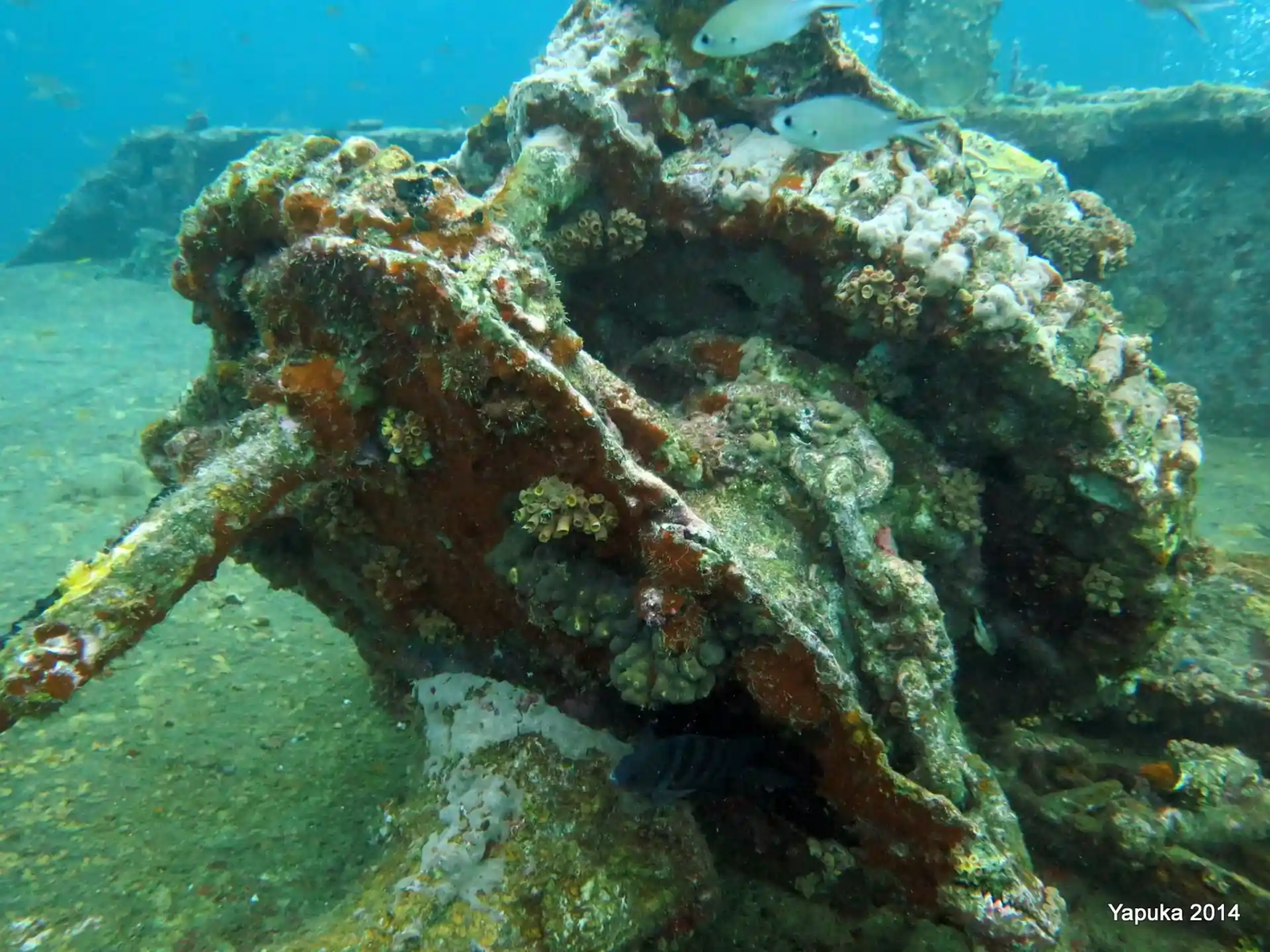 Dive site photo