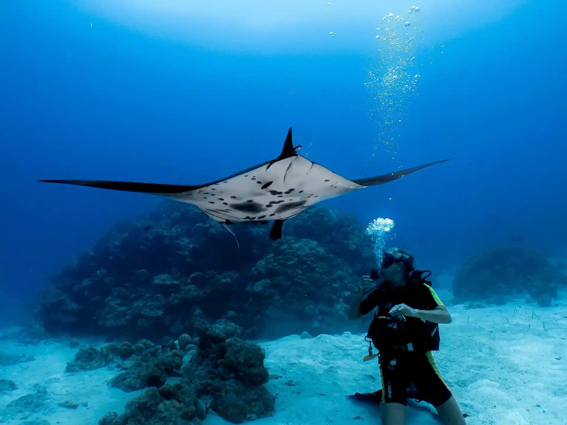Dive site photo