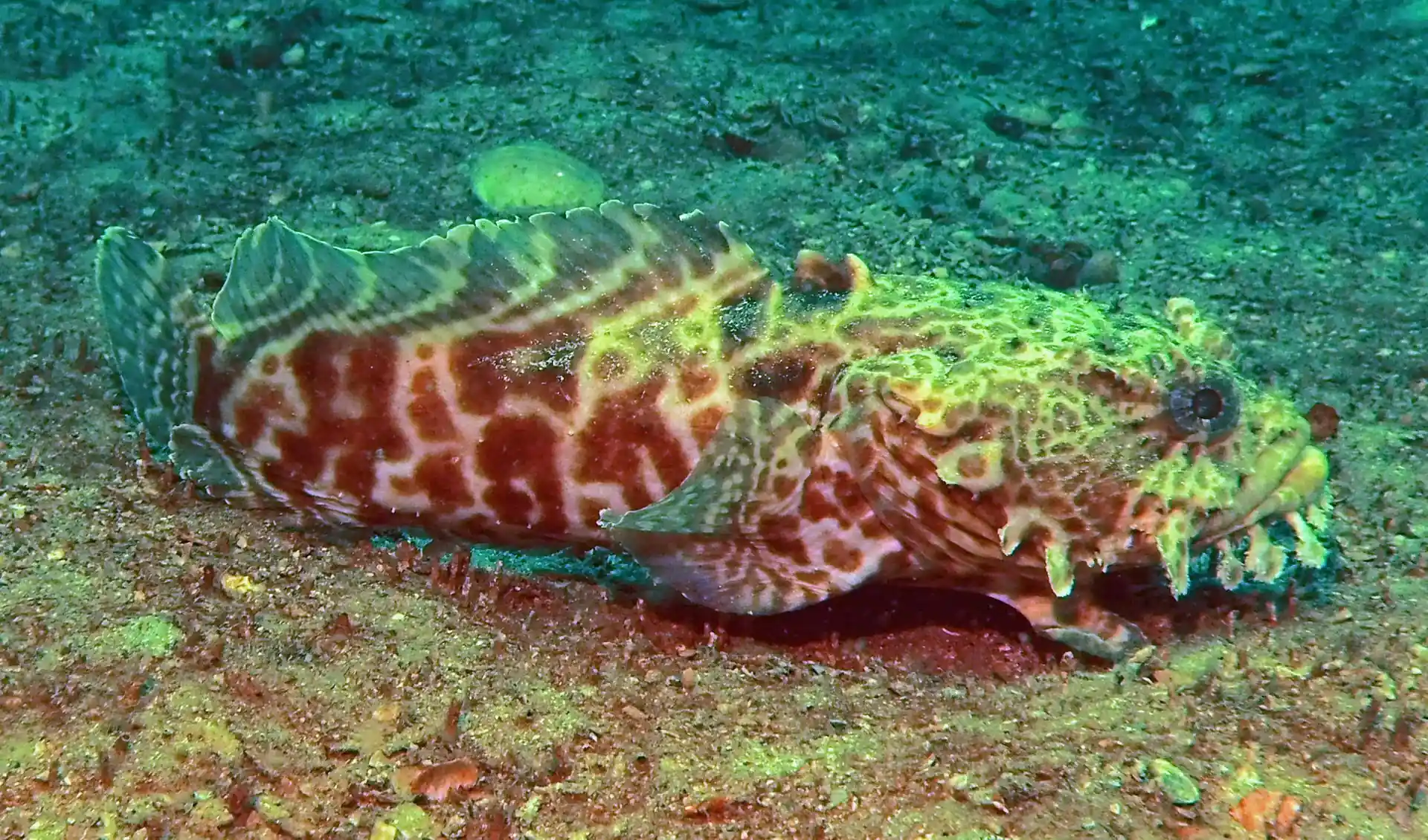 Dive site photo