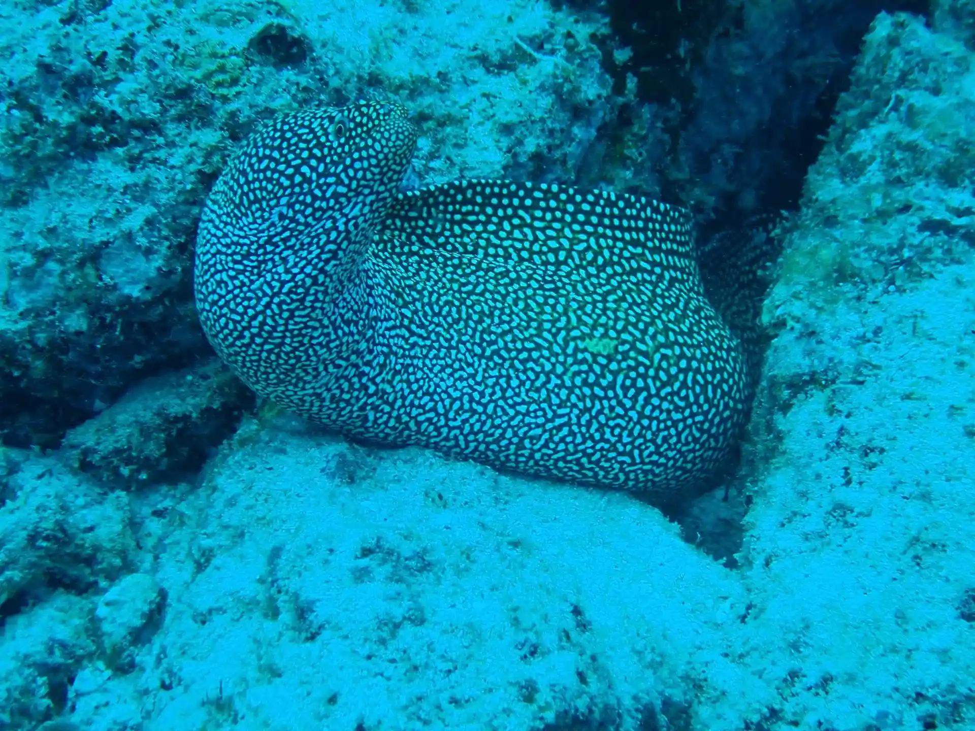 다이빙 포인트 사진