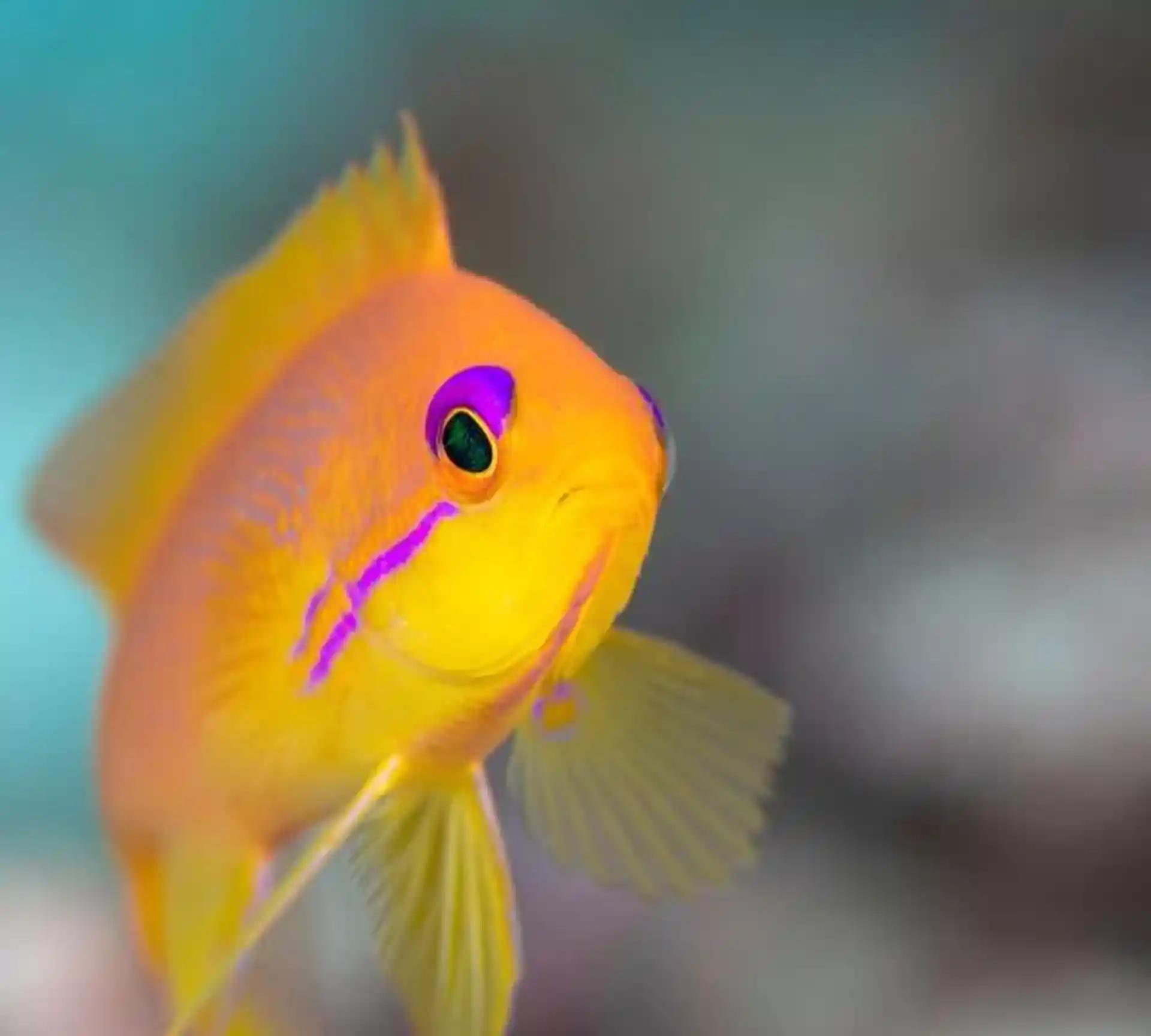Dive shop photo