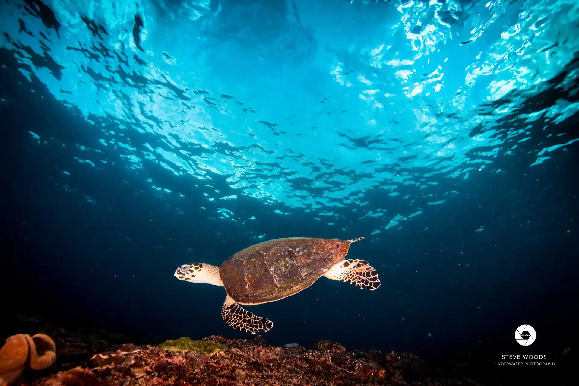 Dive site photo