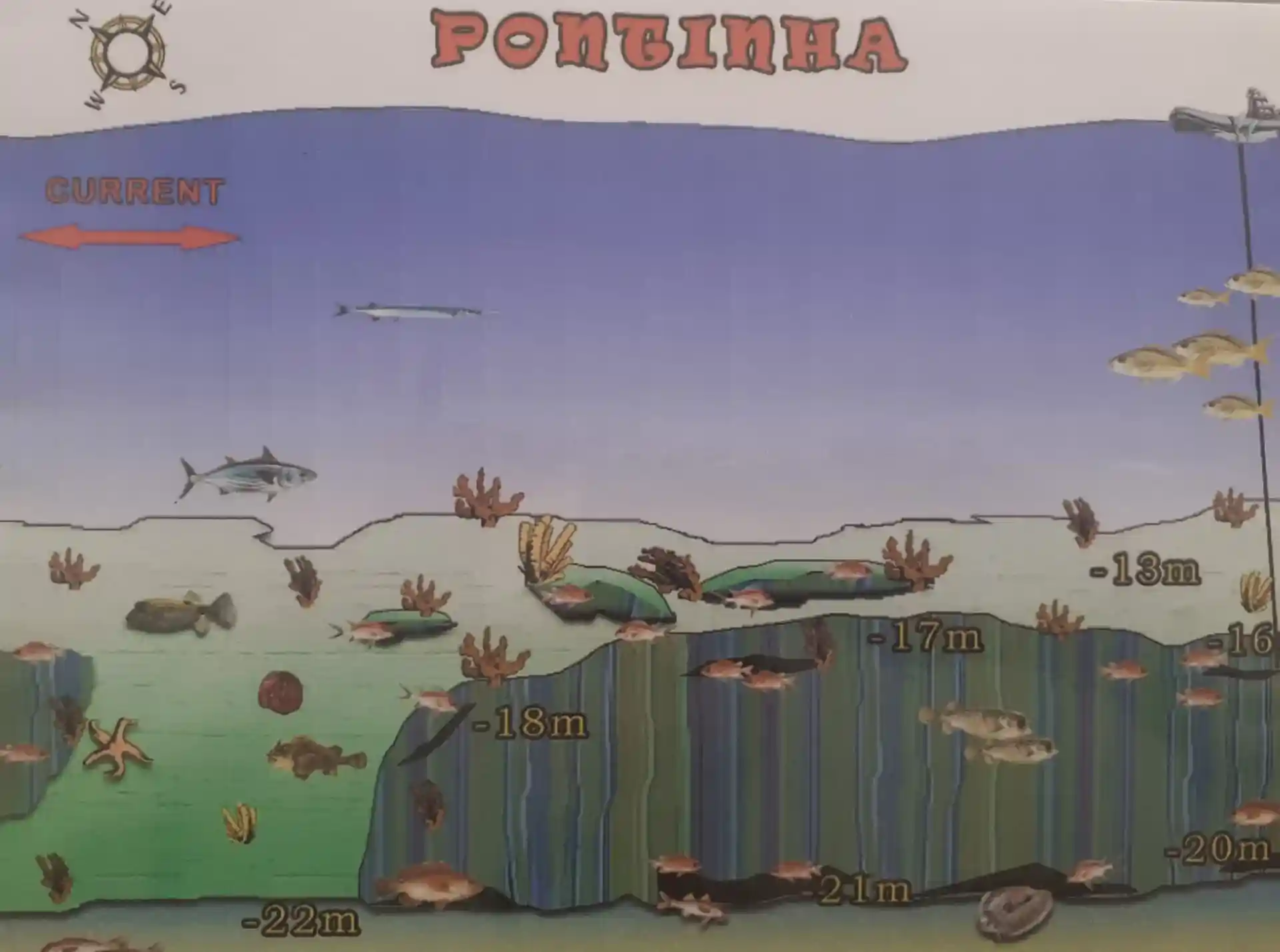 다이빙 포인트 사진