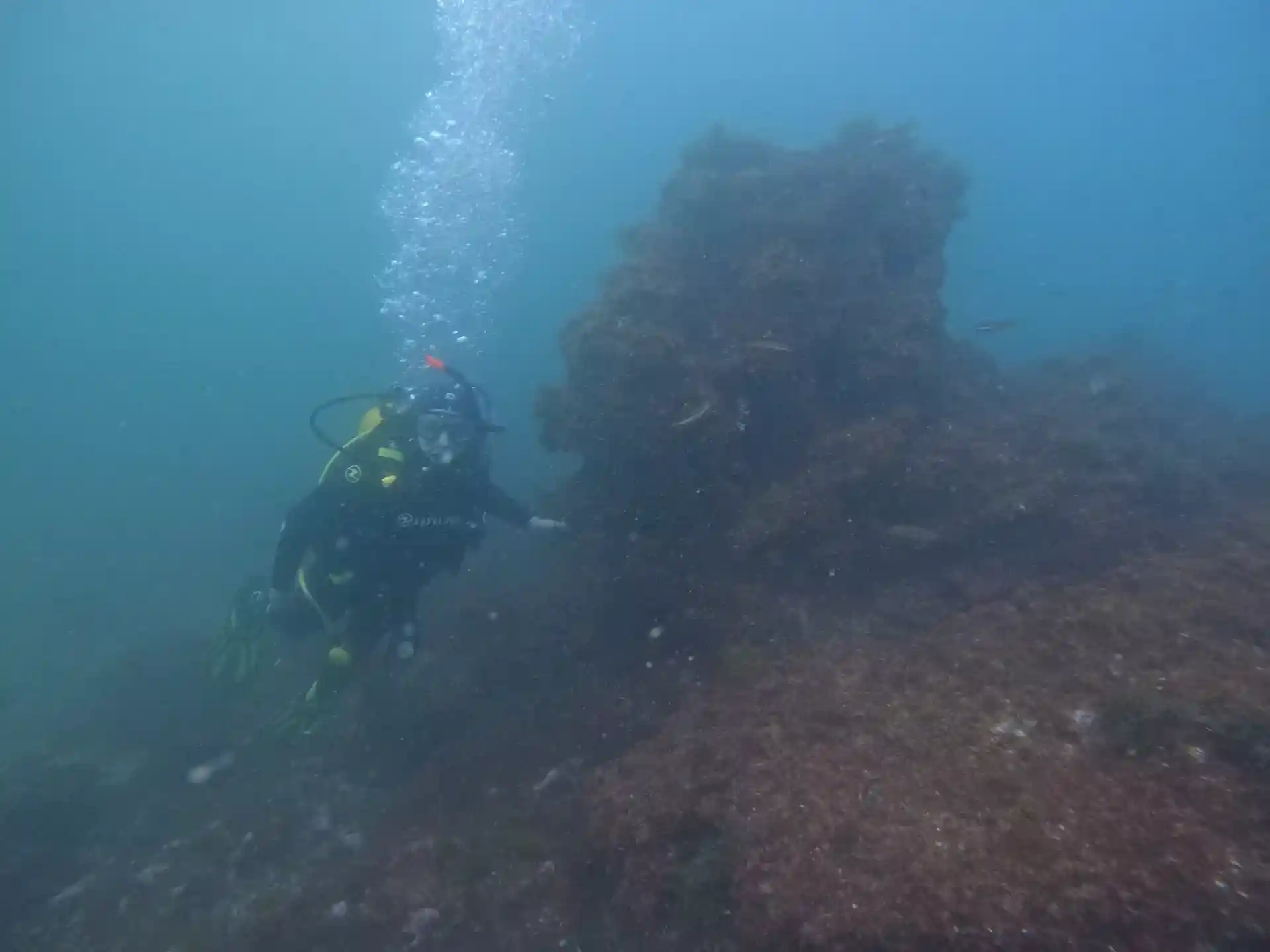 Foto des Tauchplatzes