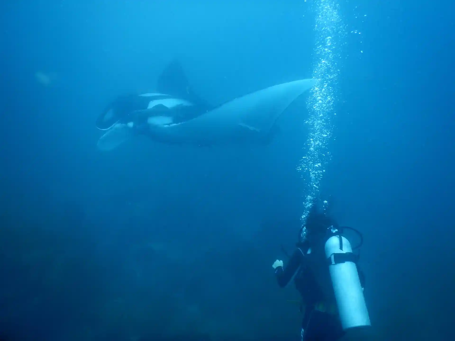 Dive site photo
