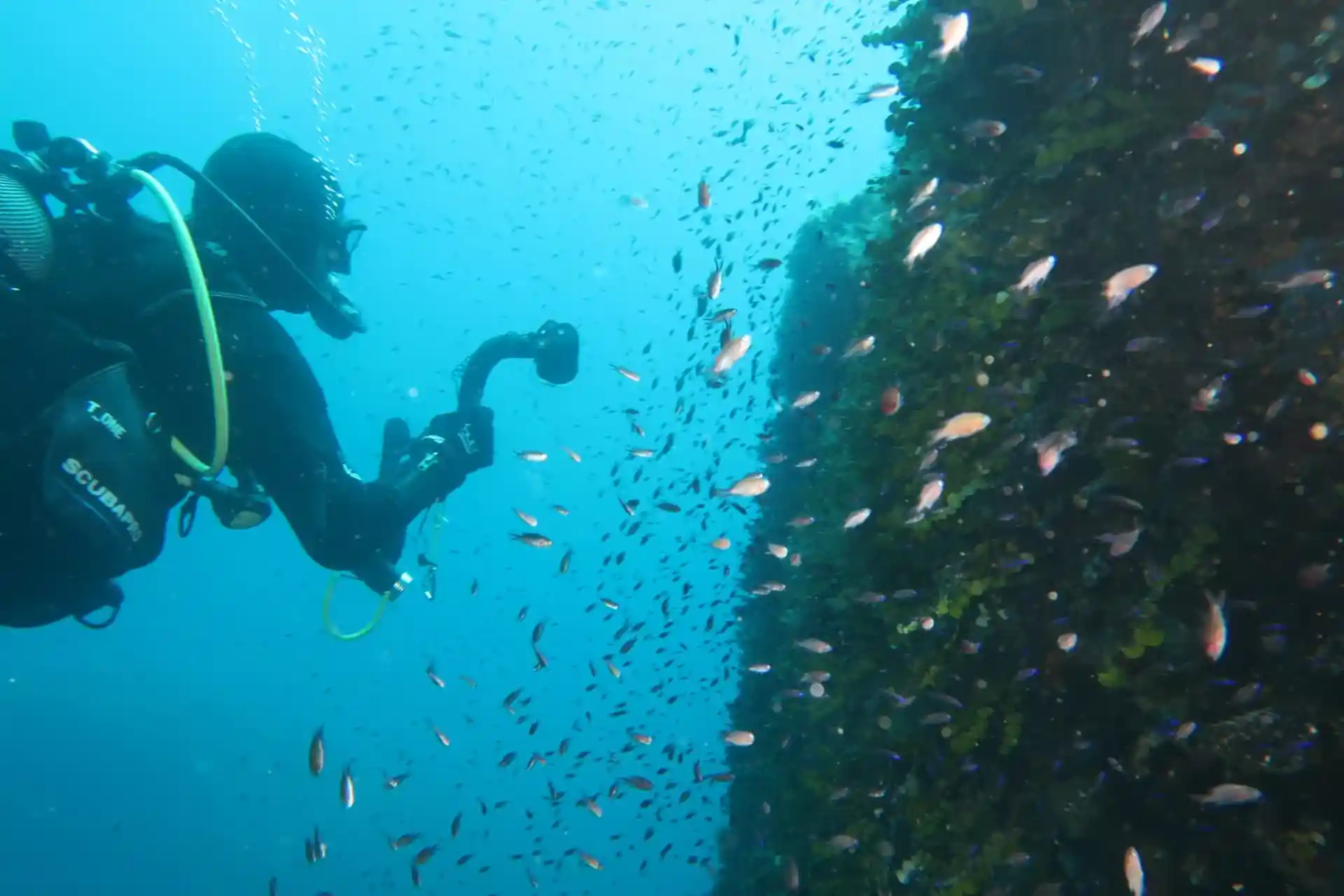 Immersione d'avventura foto e video digitali