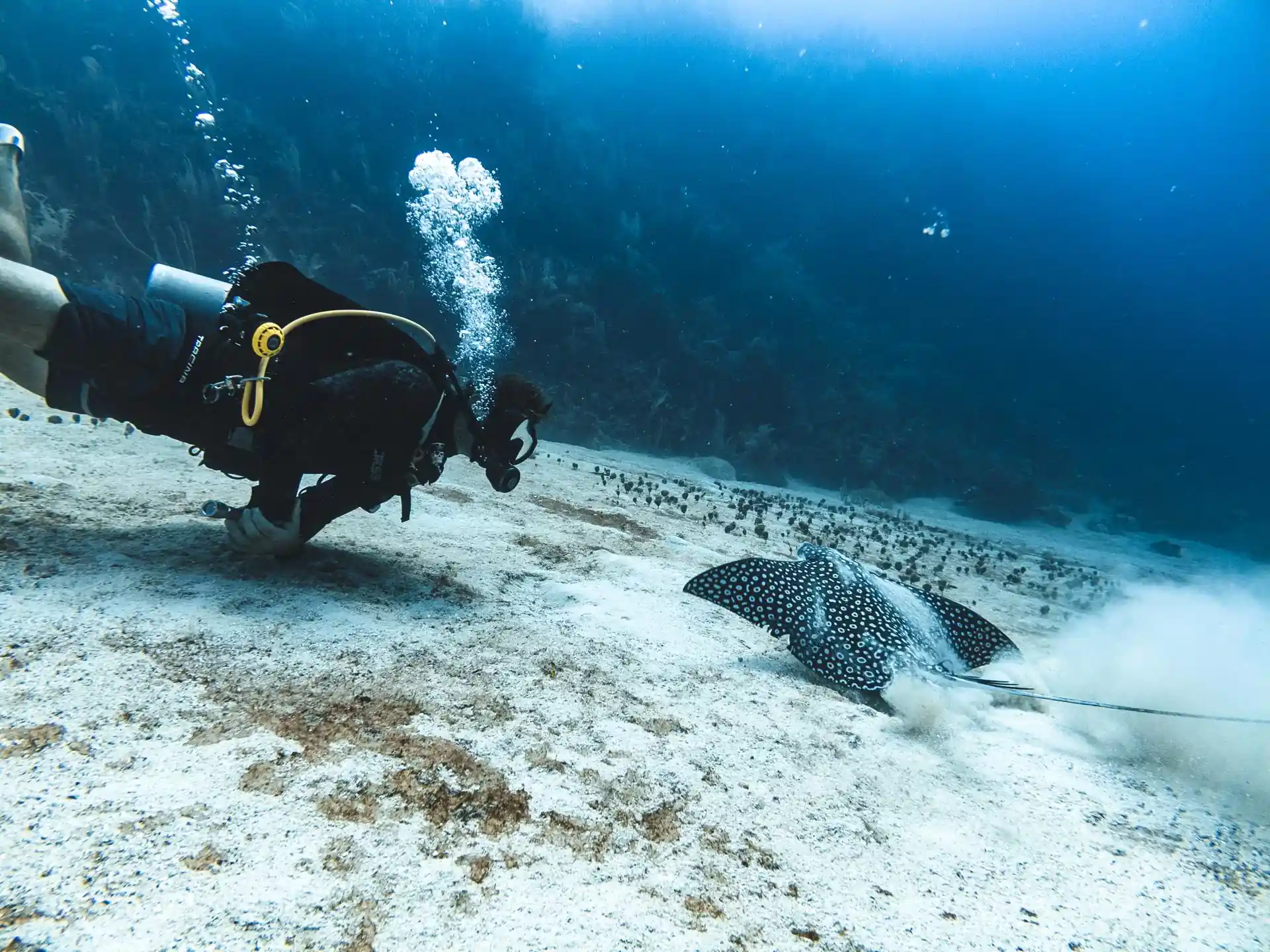 Foto del sitio de buceo