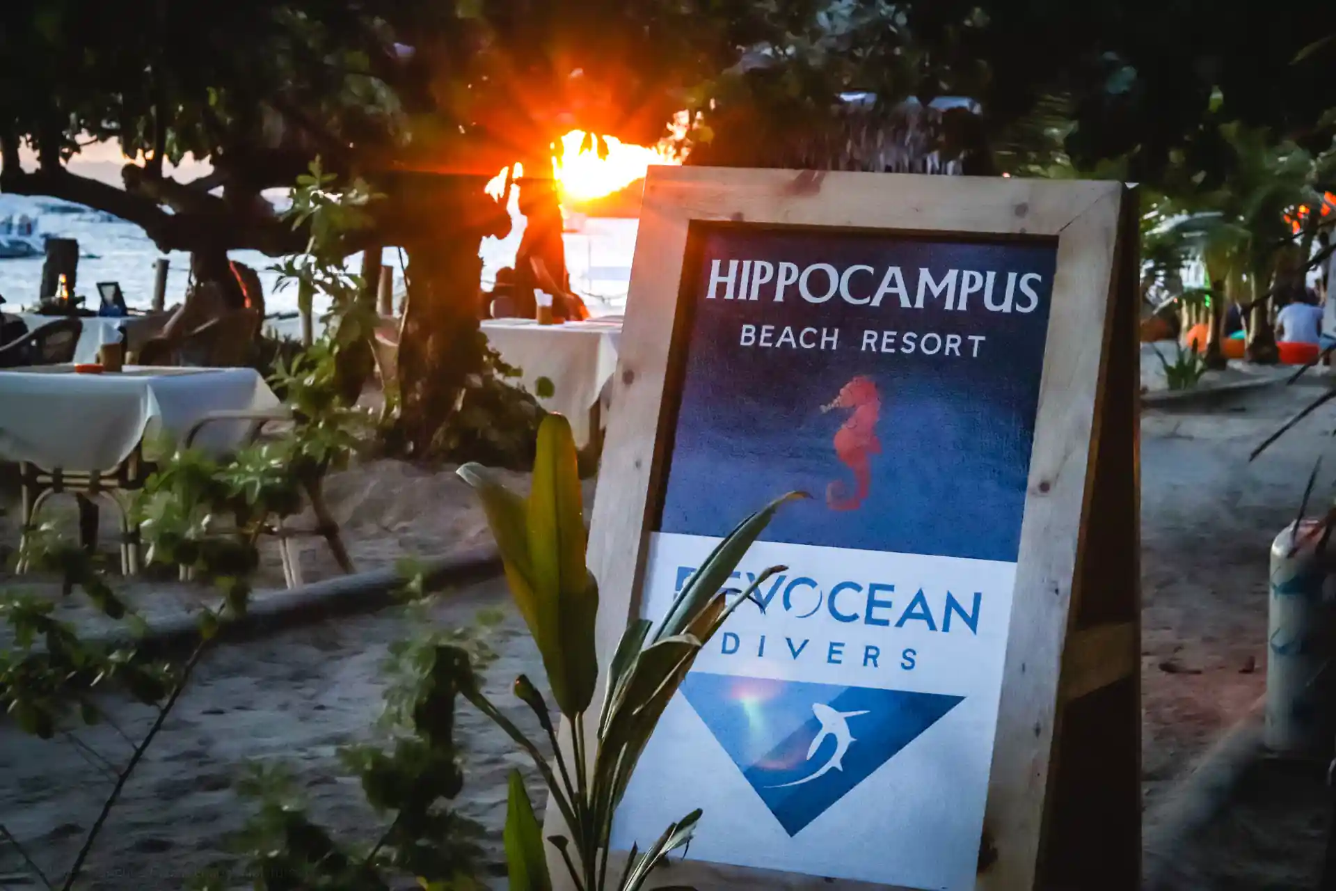 Foto de la actividad