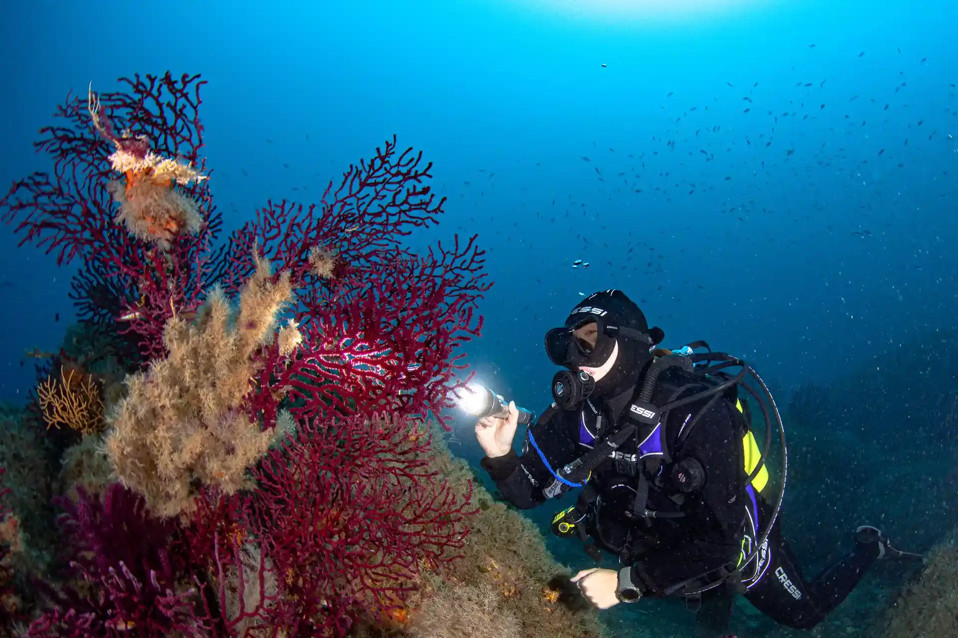 Dive site photo