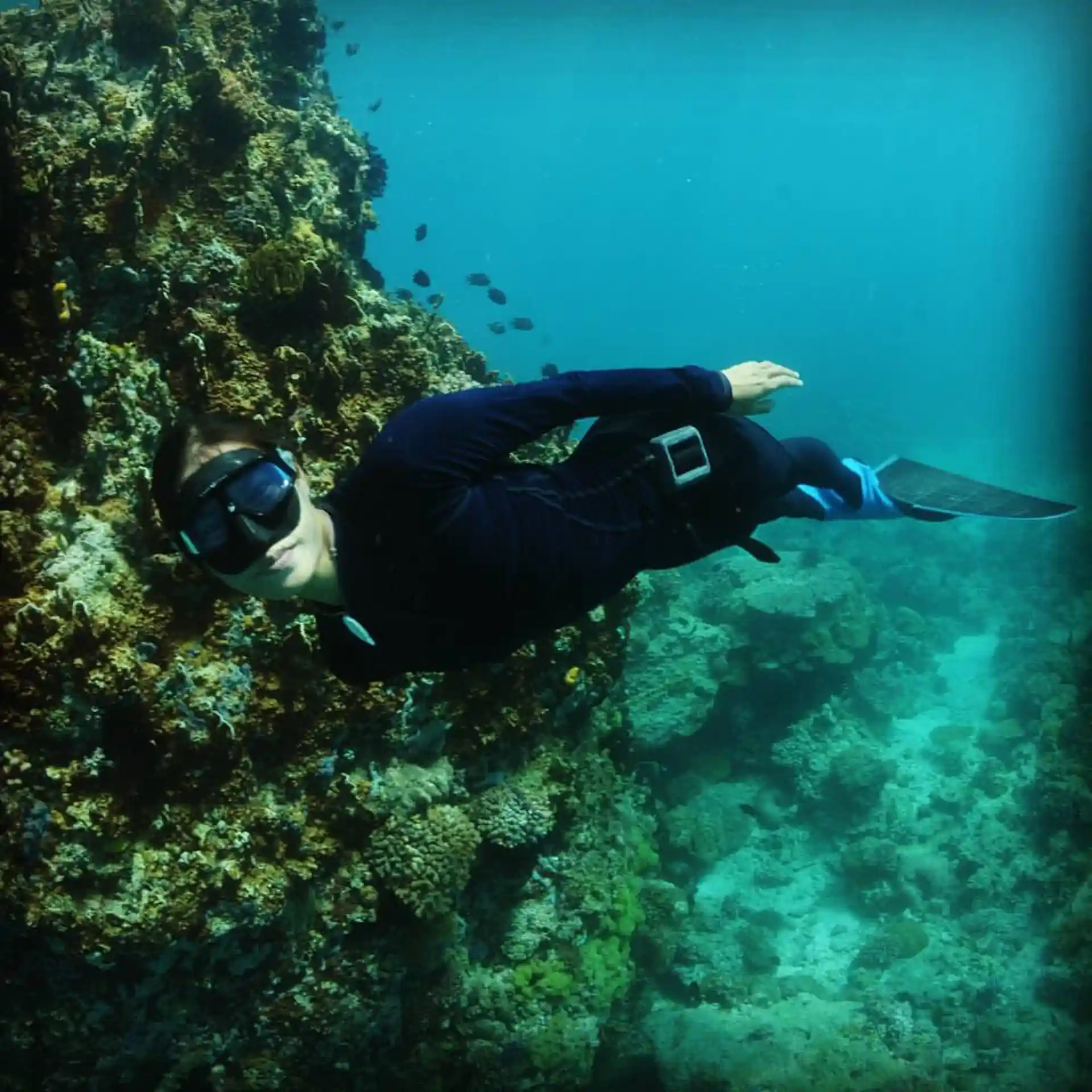 Foto de la tienda de buceo