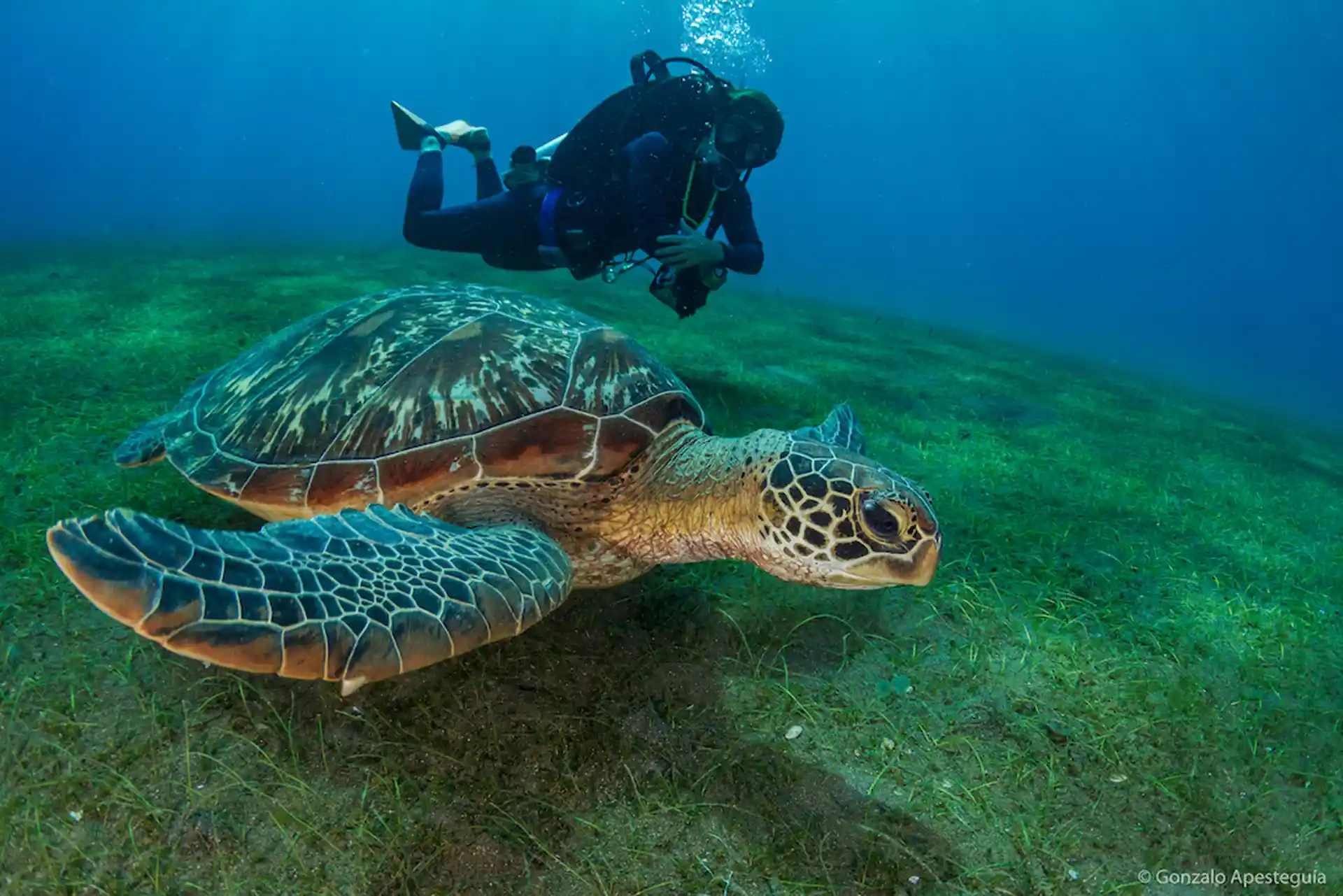 Foto de la actividad